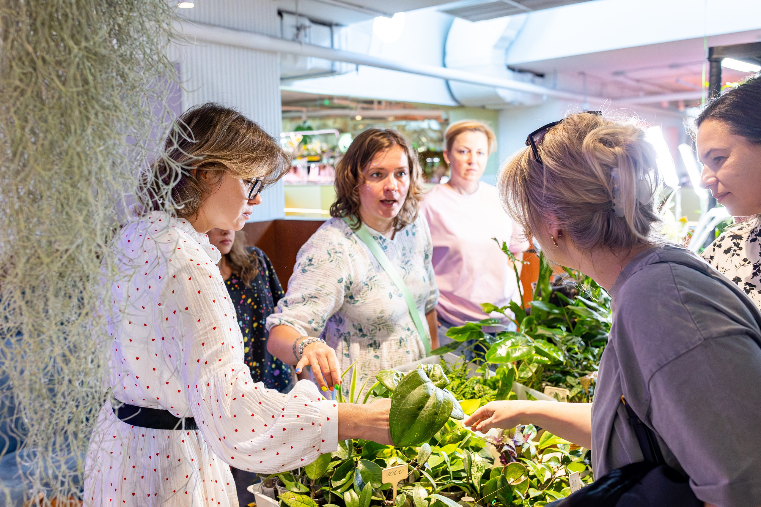 Growbox 5лет. Александра Куликова фотограф, Москва