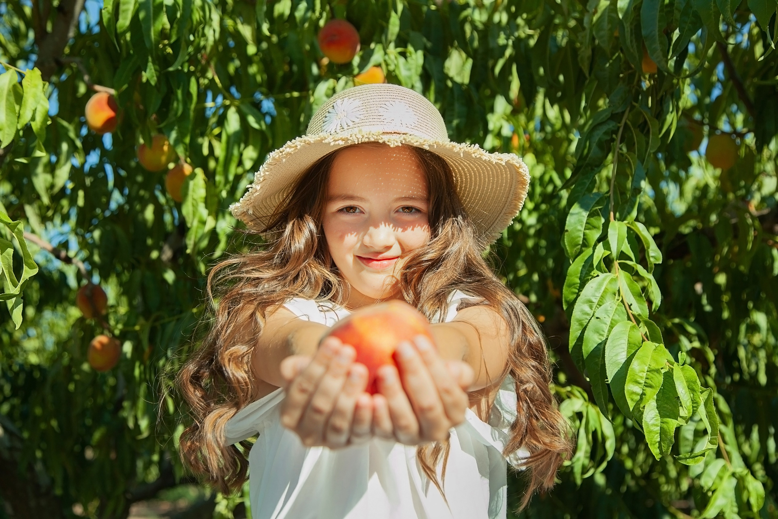 ВИНОГРАДНИКИ. Фотограф в Крыму