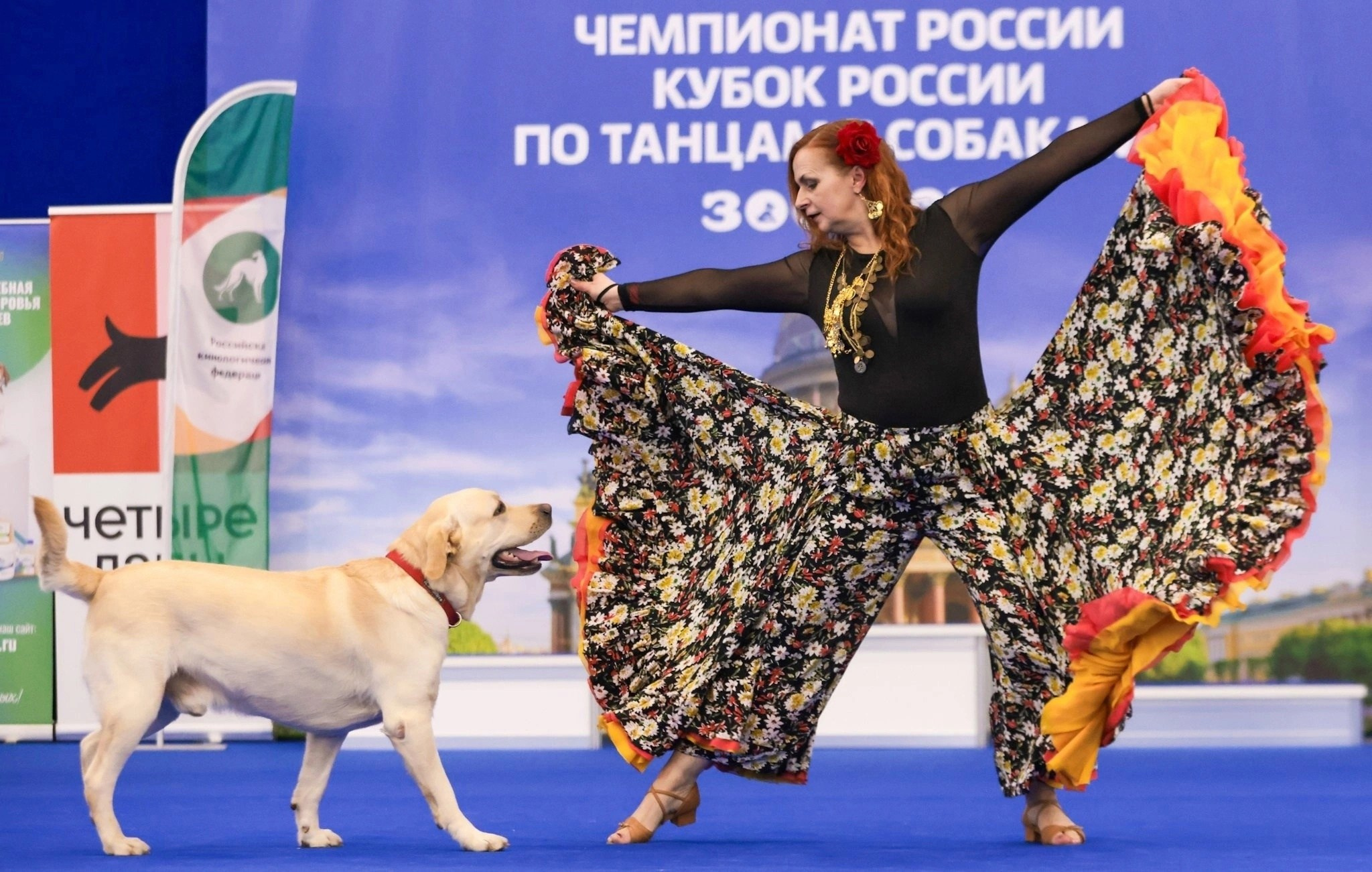 Соревнования по танцам с собаками. Спортивный фотограф Зянтереков Антон