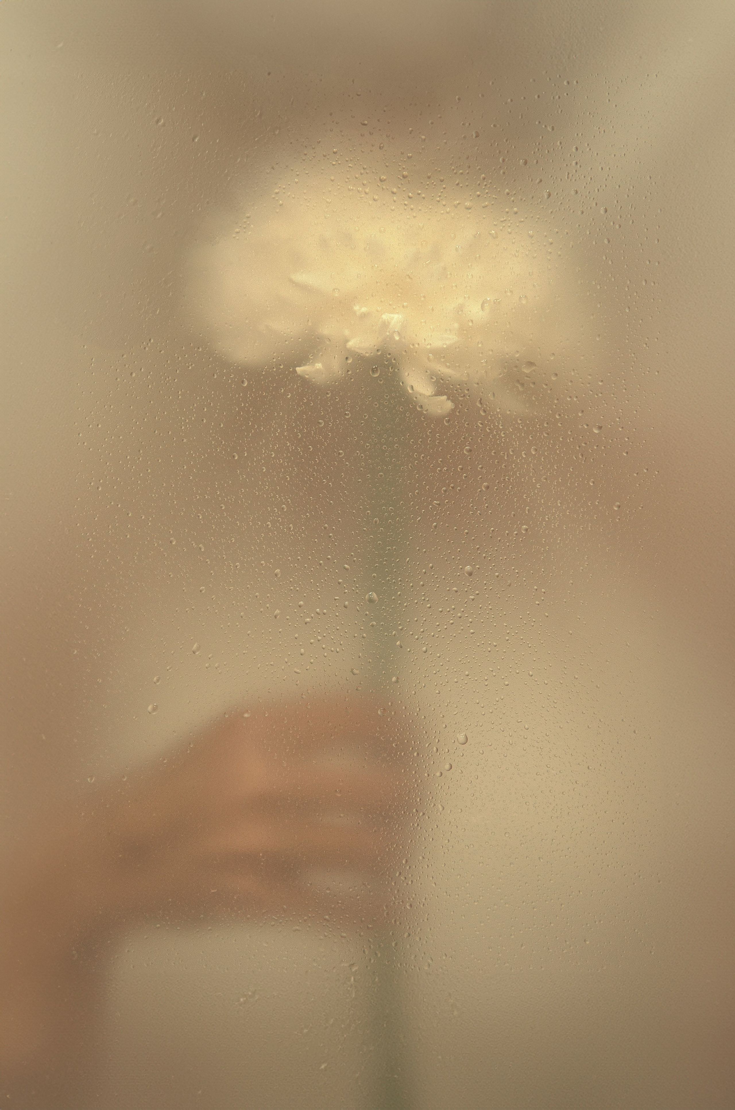 Портретная с цветком. Фотографы в Тюмени Андрей и Лидия Войвод