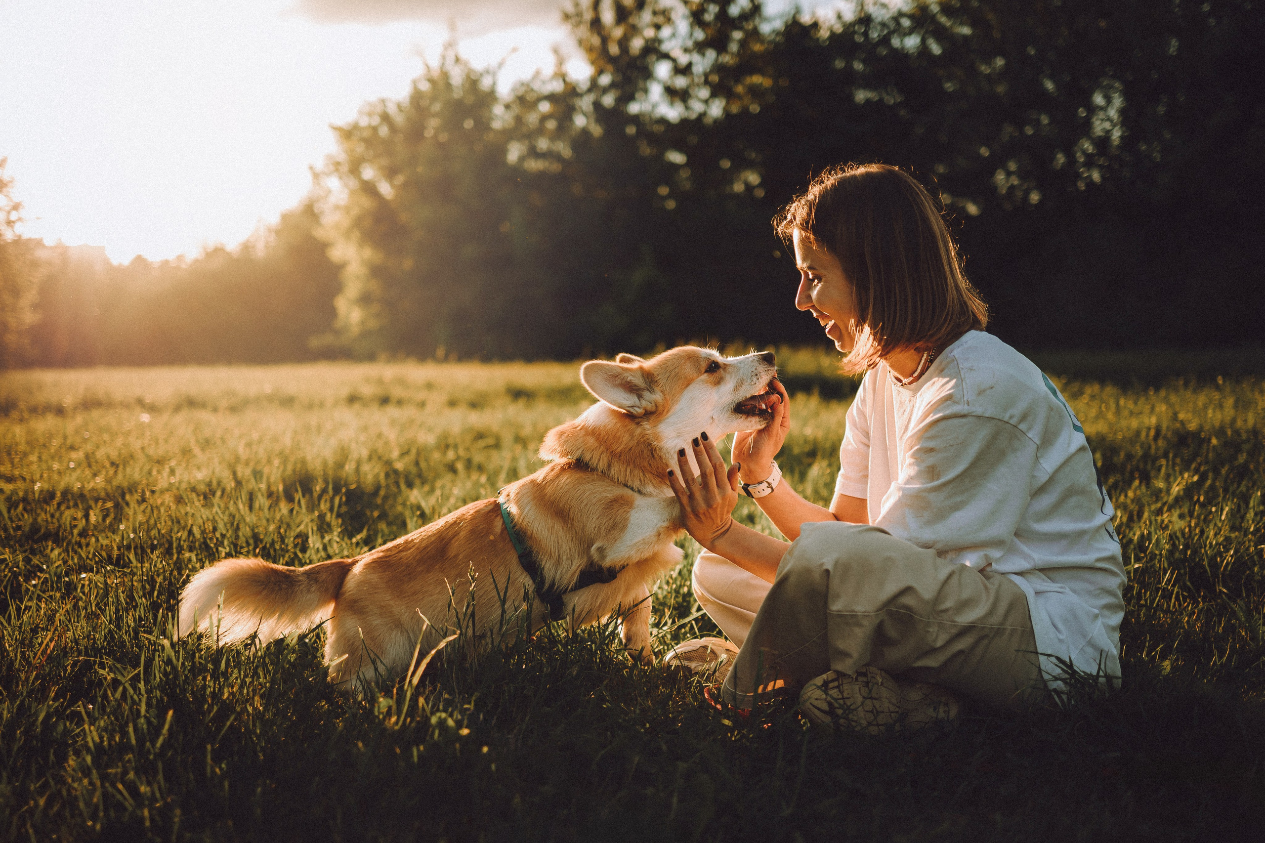 Вирджик и его семья