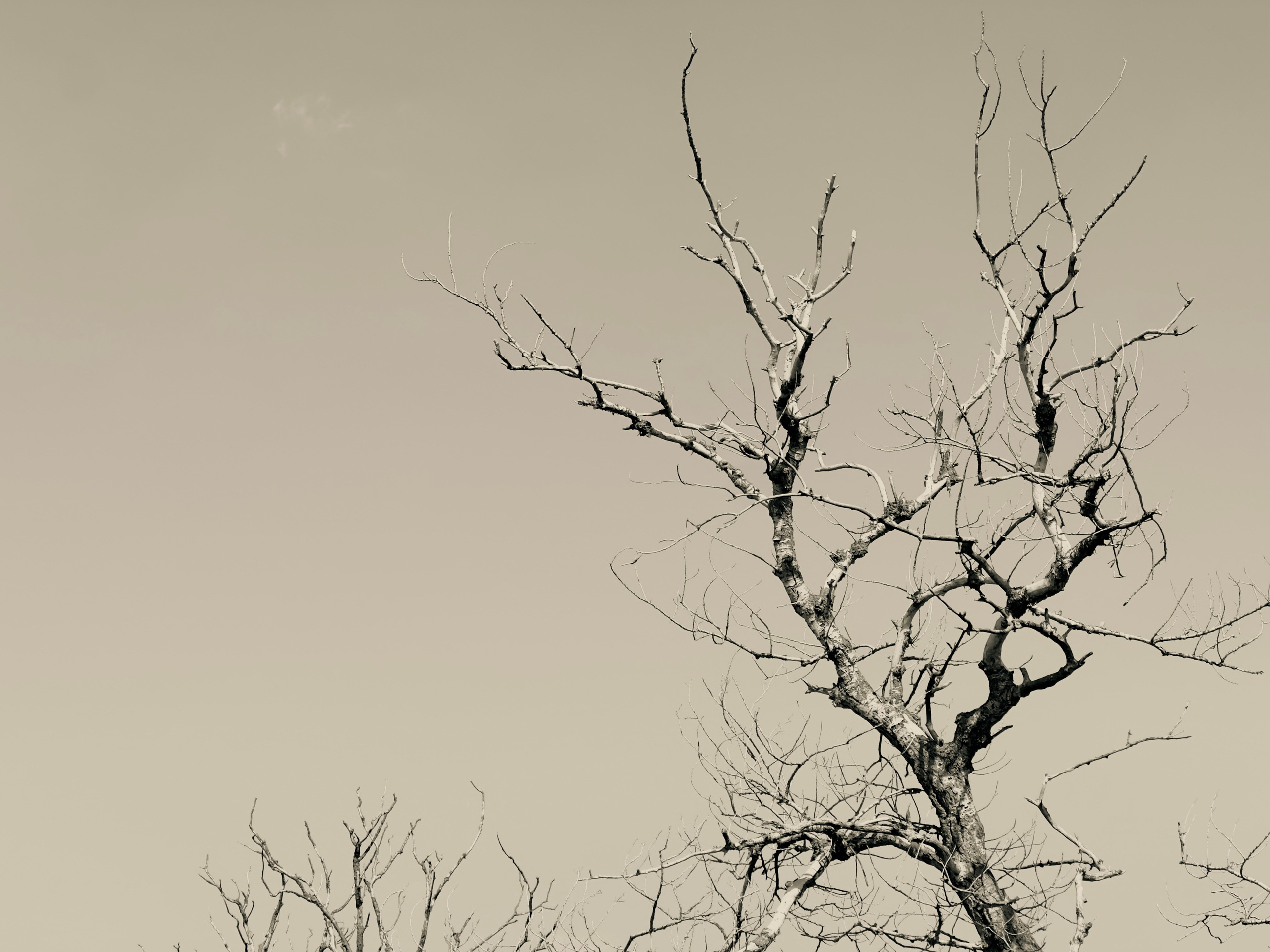 Флора и фауна. Смотри, красота!