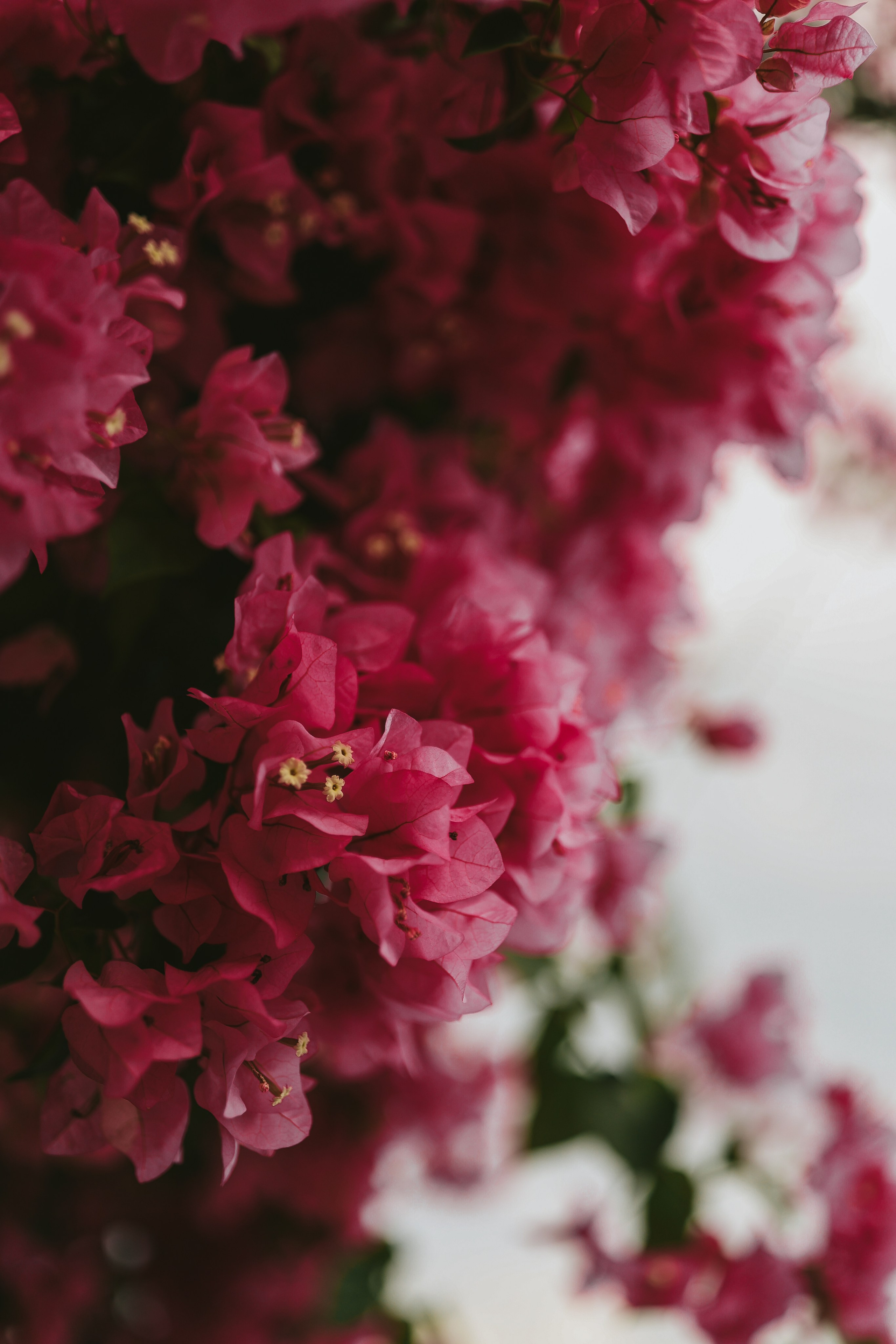 Anawa Krabi. Ekaterina Buneeva Photography