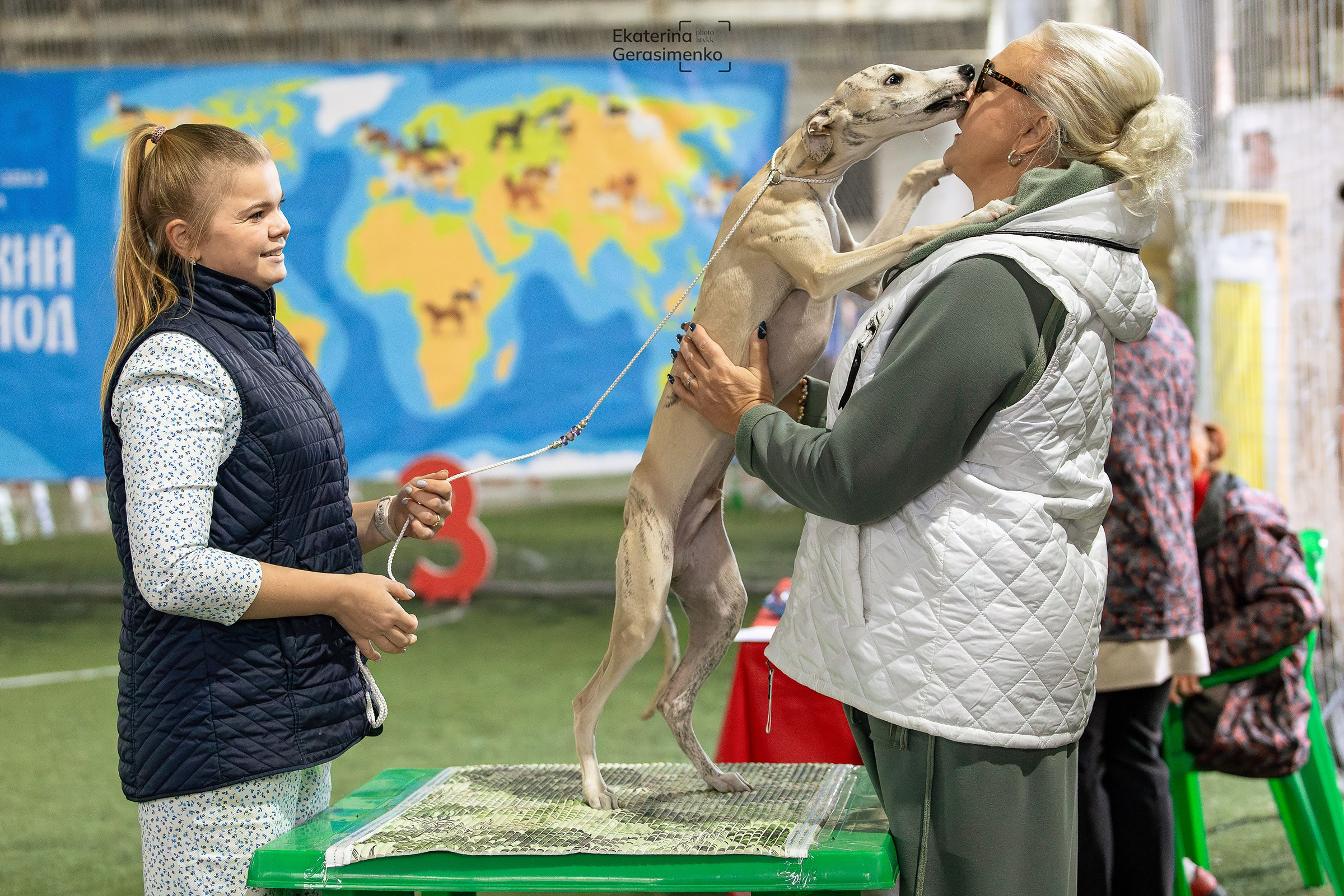 6 октября 2024, Выставка РКФ, г. Пермь. Htykk_photo