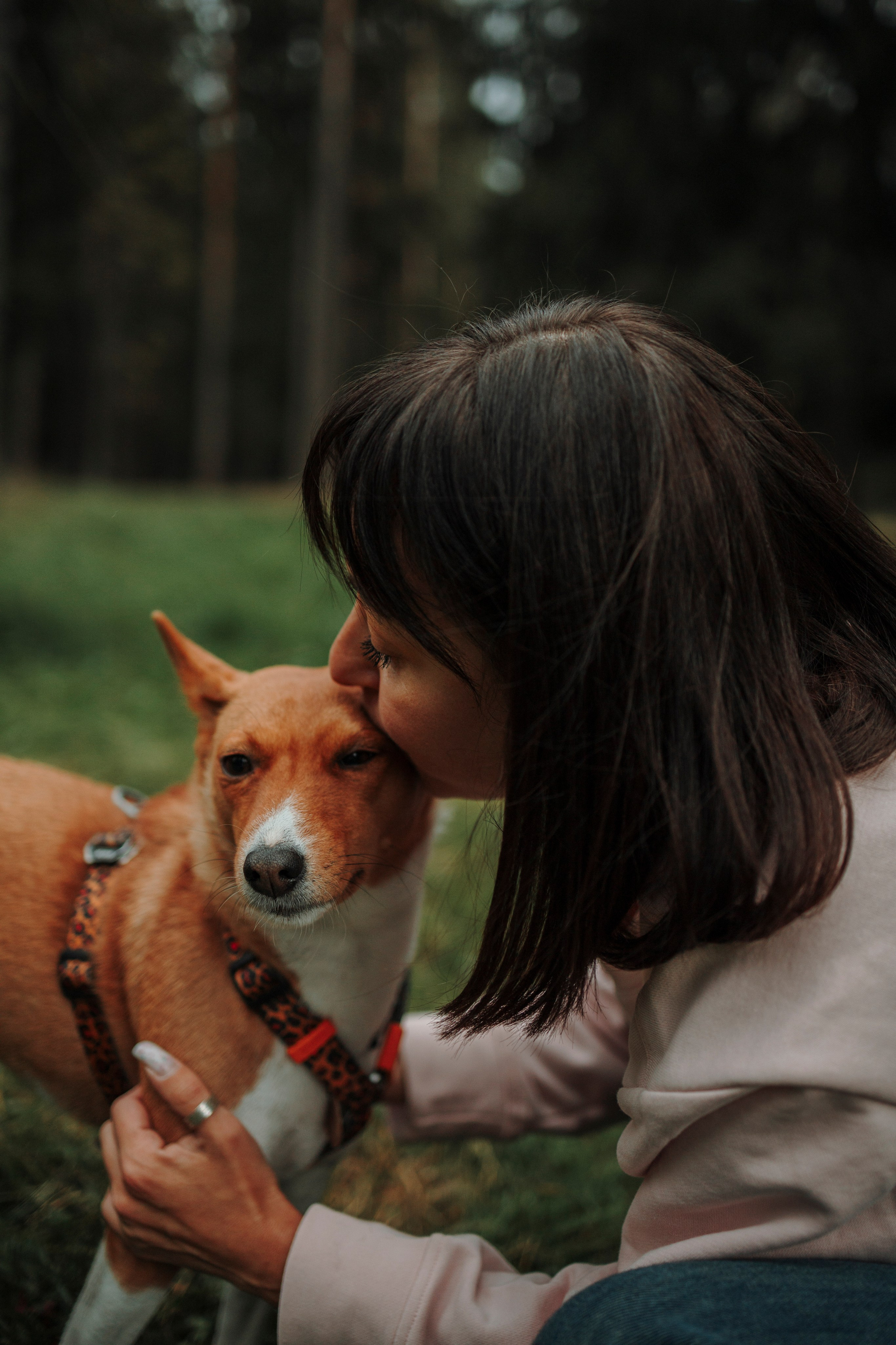 Даша и Лора. Фотограф-анималист в Санкт-Петеребурге Титова Алиса