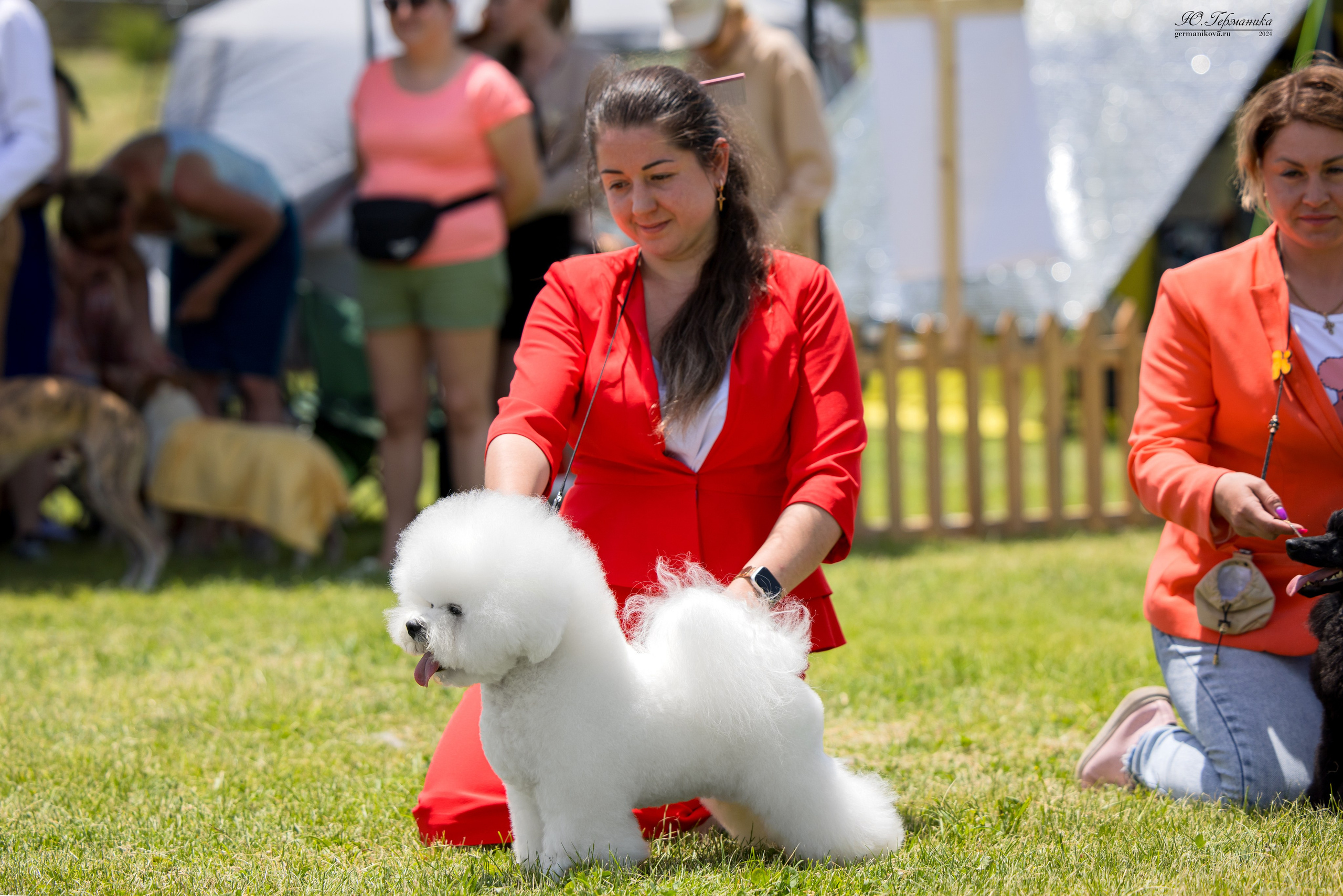 Ереван 3-5.06.2024. Фотограф-анималист Юлия Германика