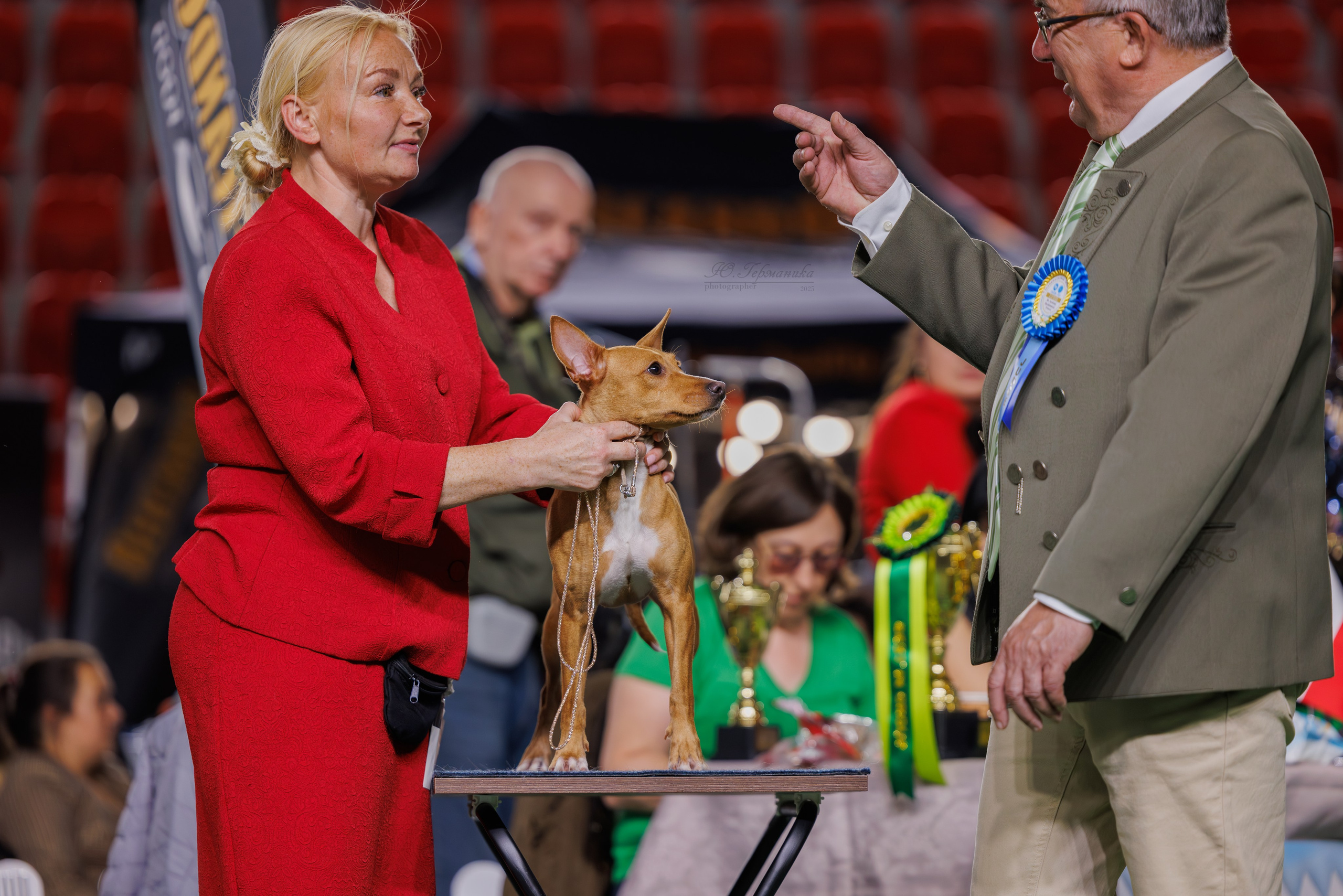 Телави 11-12.10.2025. Фотограф-анималист Юлия Германика