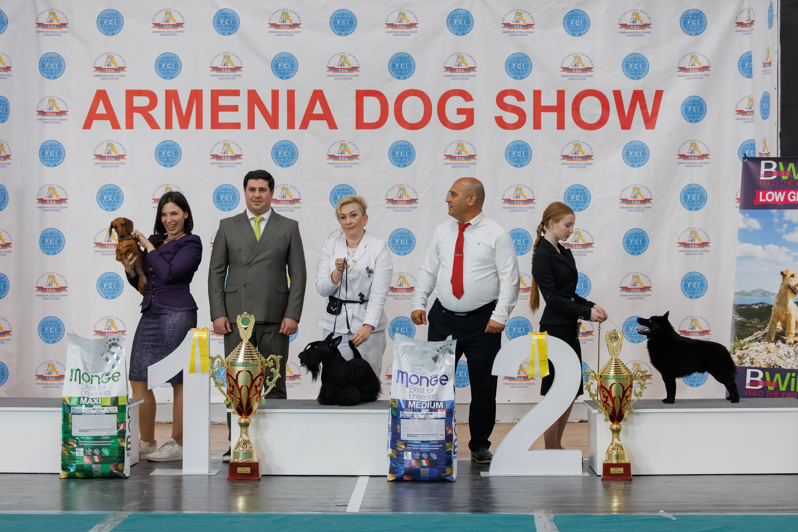 Ереван 2х CACIB 29-30.04.2025. Фотограф-анималист Юлия Германика