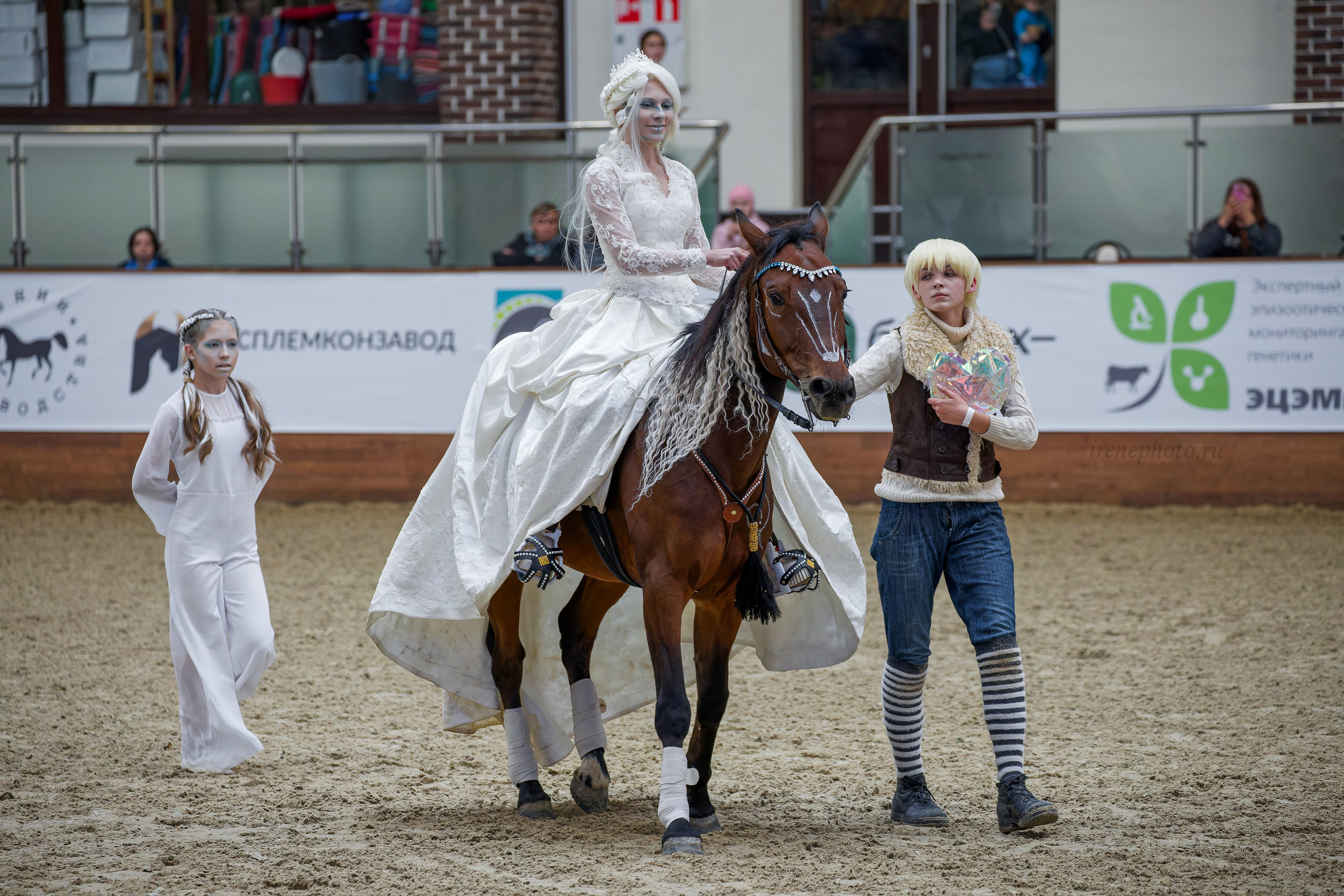 Конная Россия 2024. Irenephoto.ru
