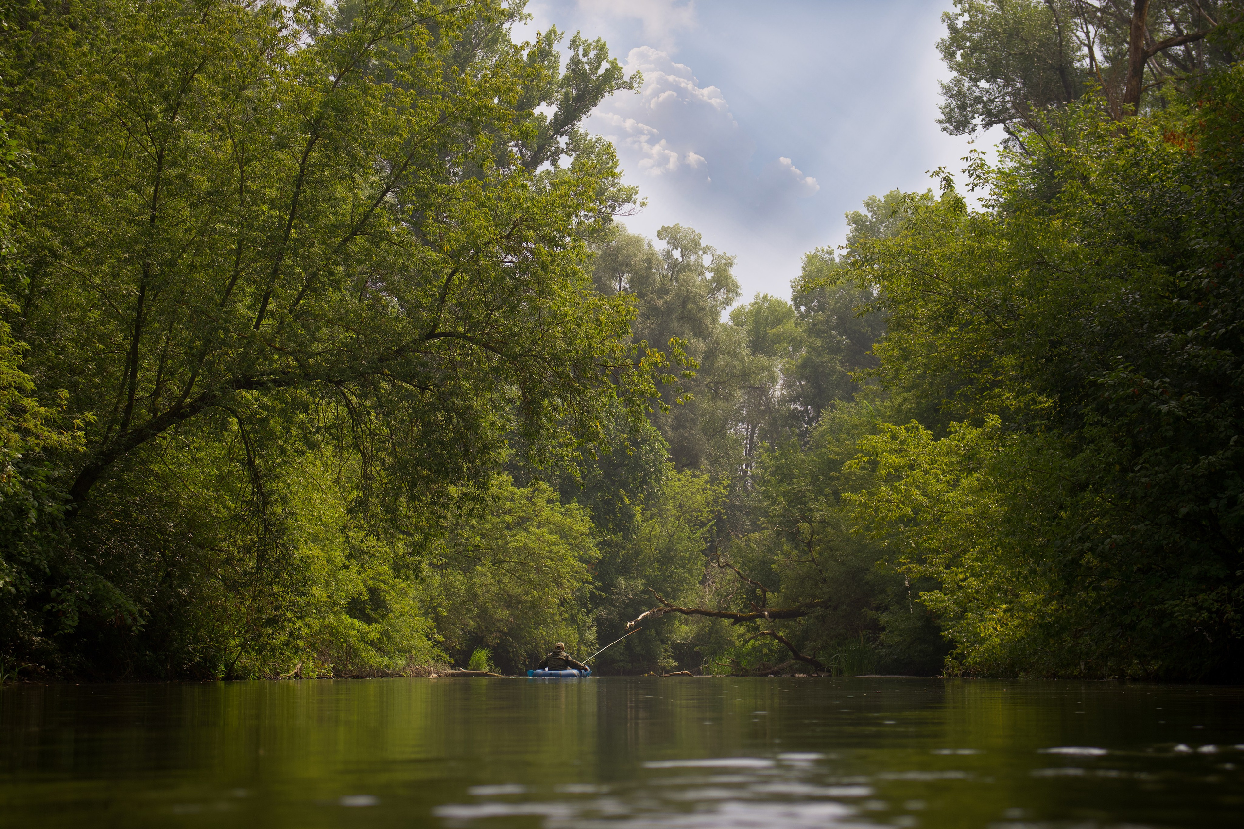 Пейзаж. Pupov.png