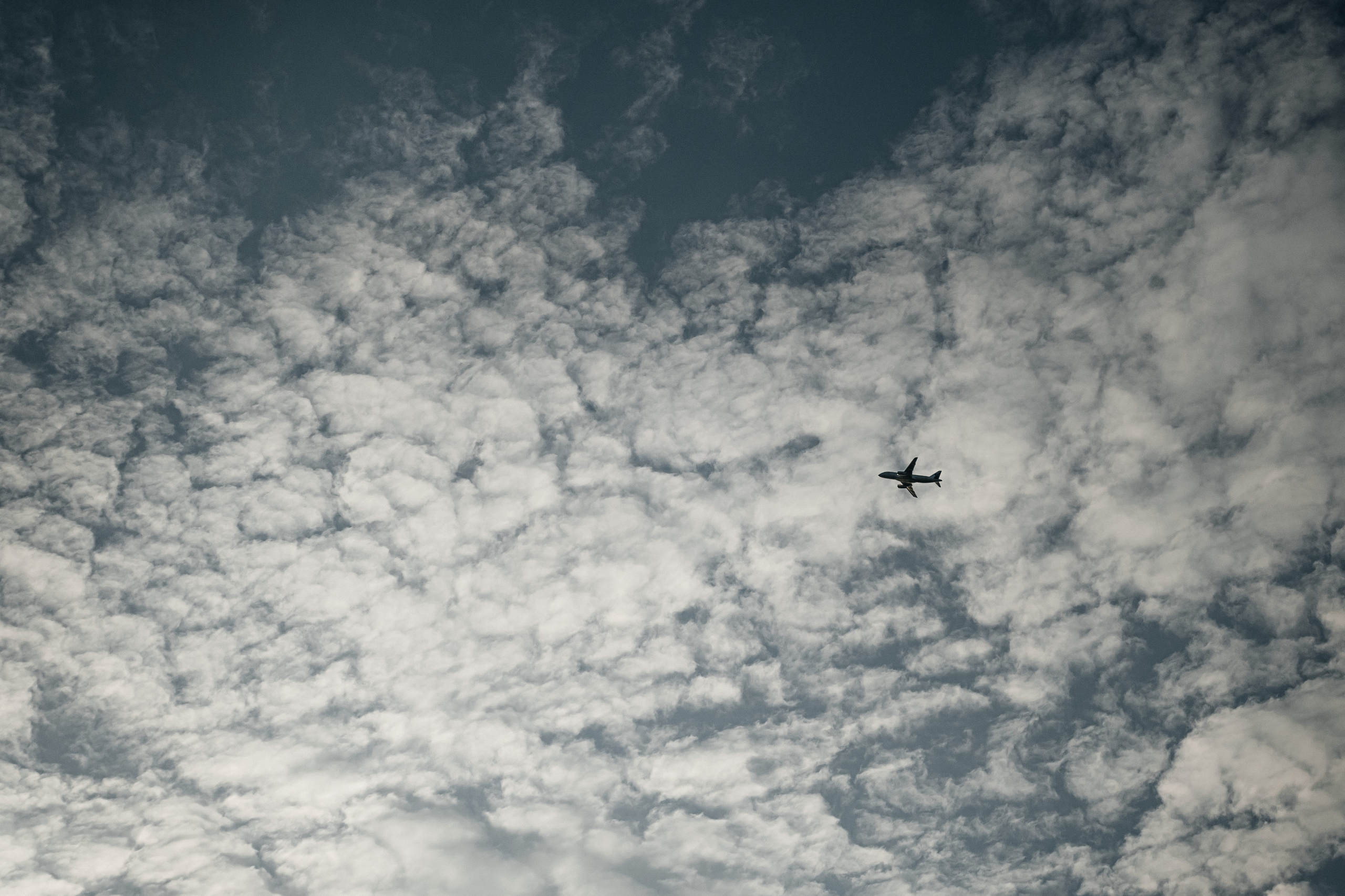 Семейный фотограф Москва Санкт-Петербург СПБ