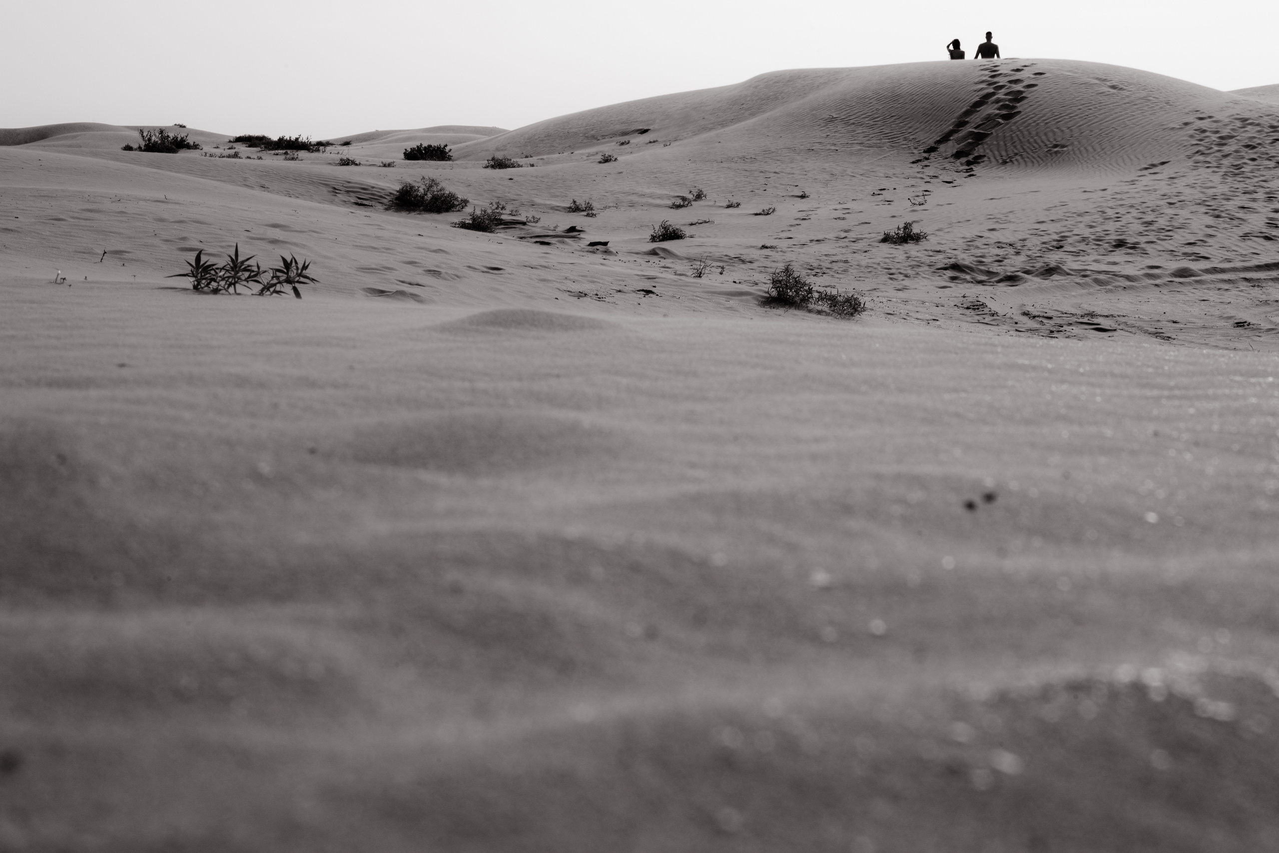 Angelina x Sahara. Fusion Wedding Photographer