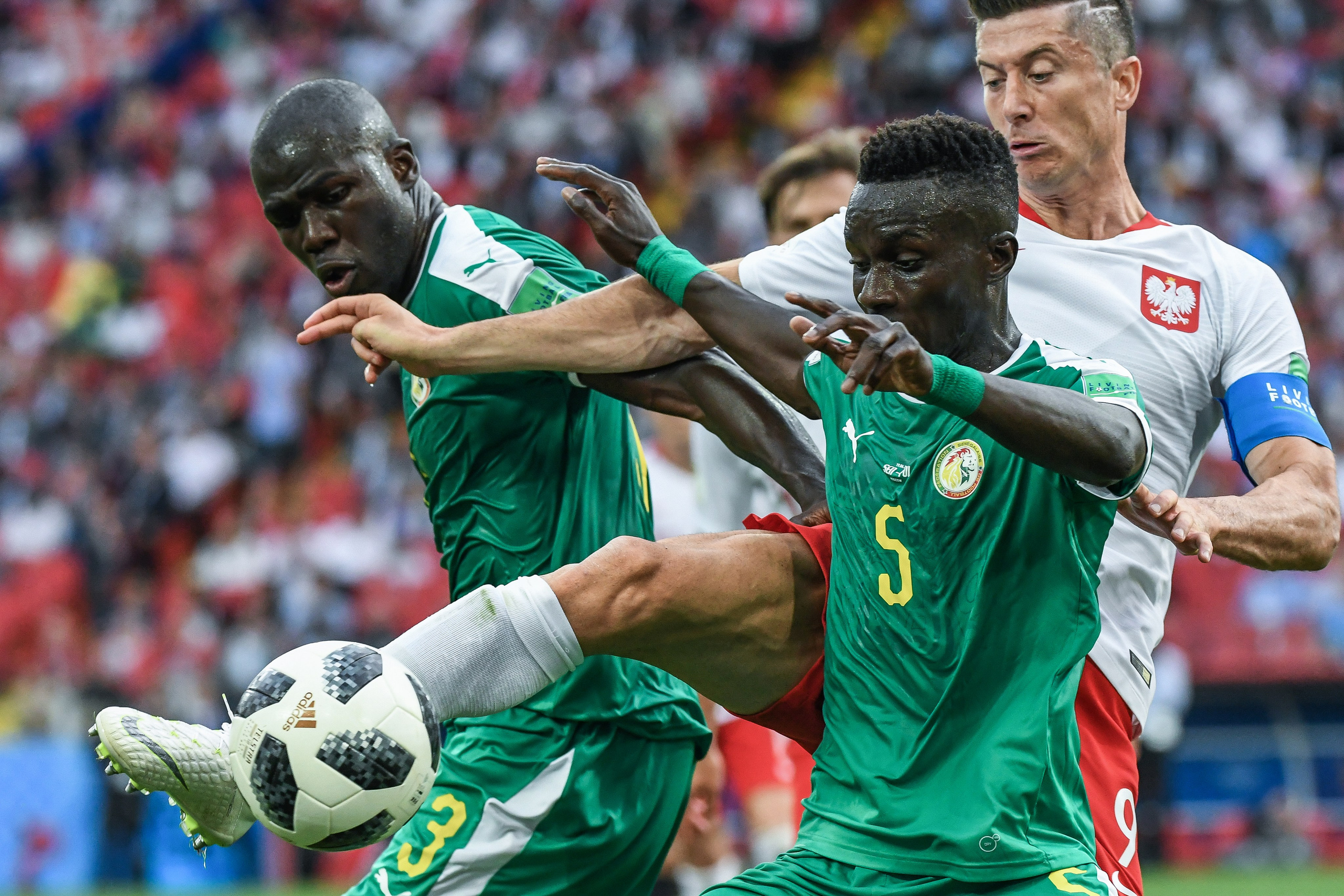 Чемпионат мира по футболу 2018. Игорь Иванко — Репортажный и событийный фотограф. Москва