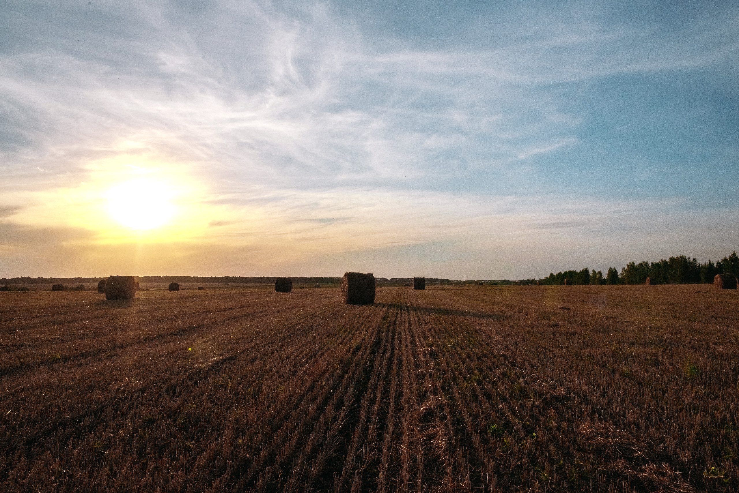 Семейная съемка
