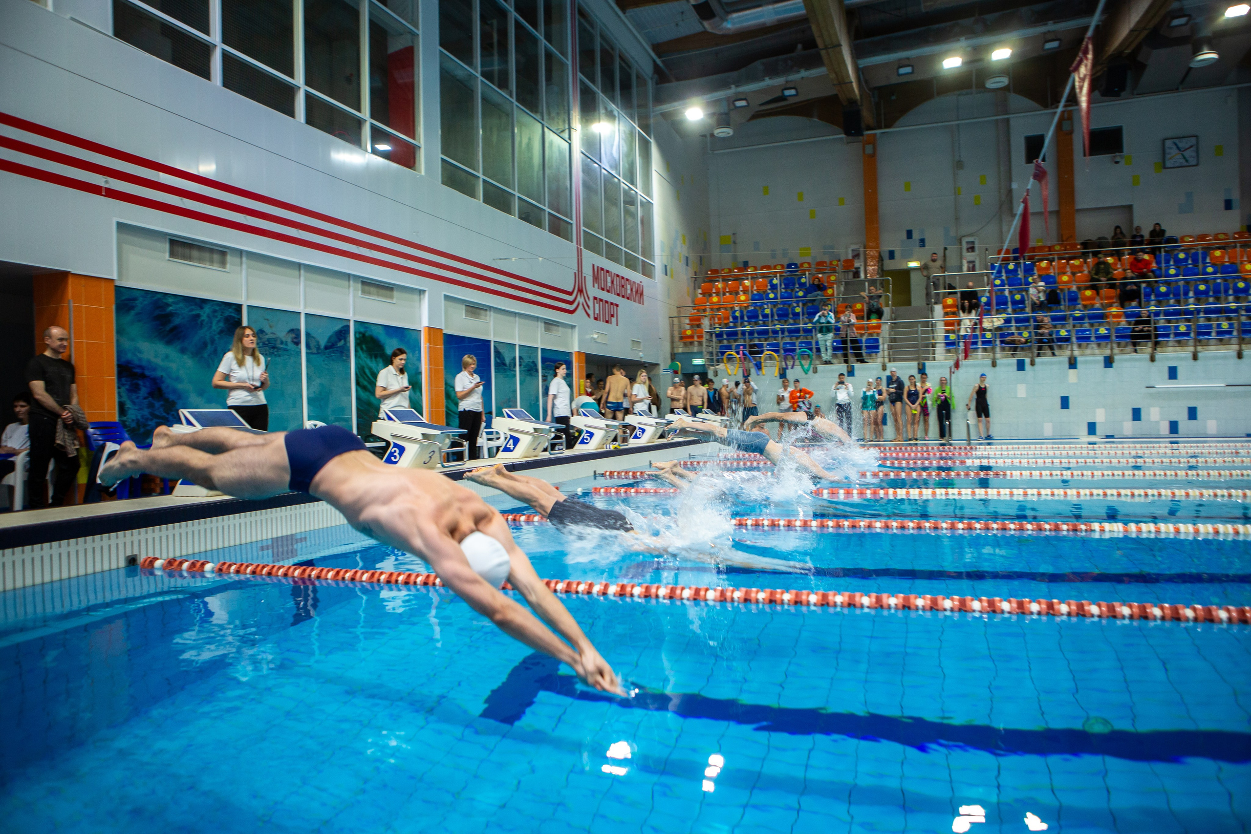 Турнир по плаванию. Репортажный, семейный, свадебный, портретный фотограф