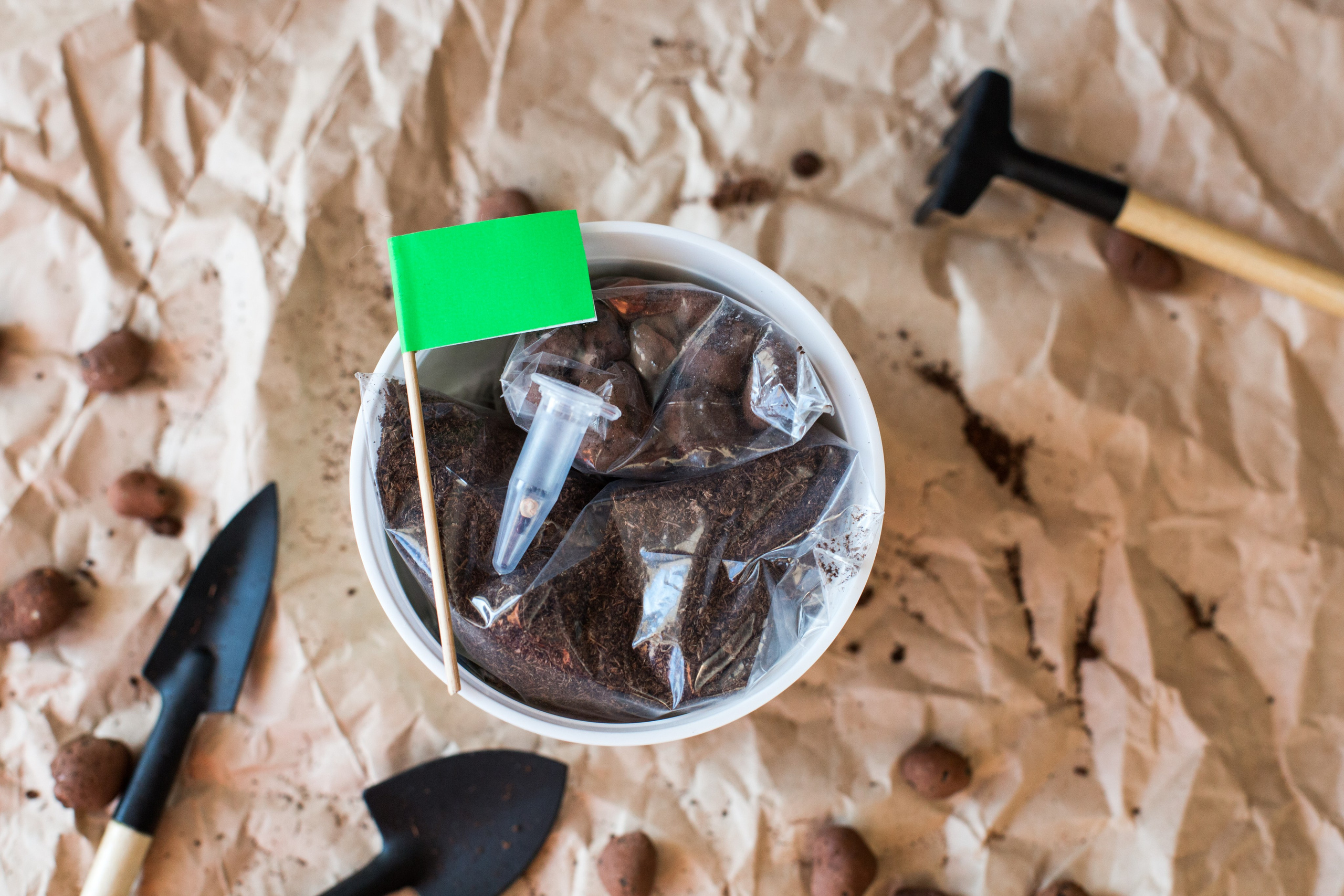 Растим вместе. Главная