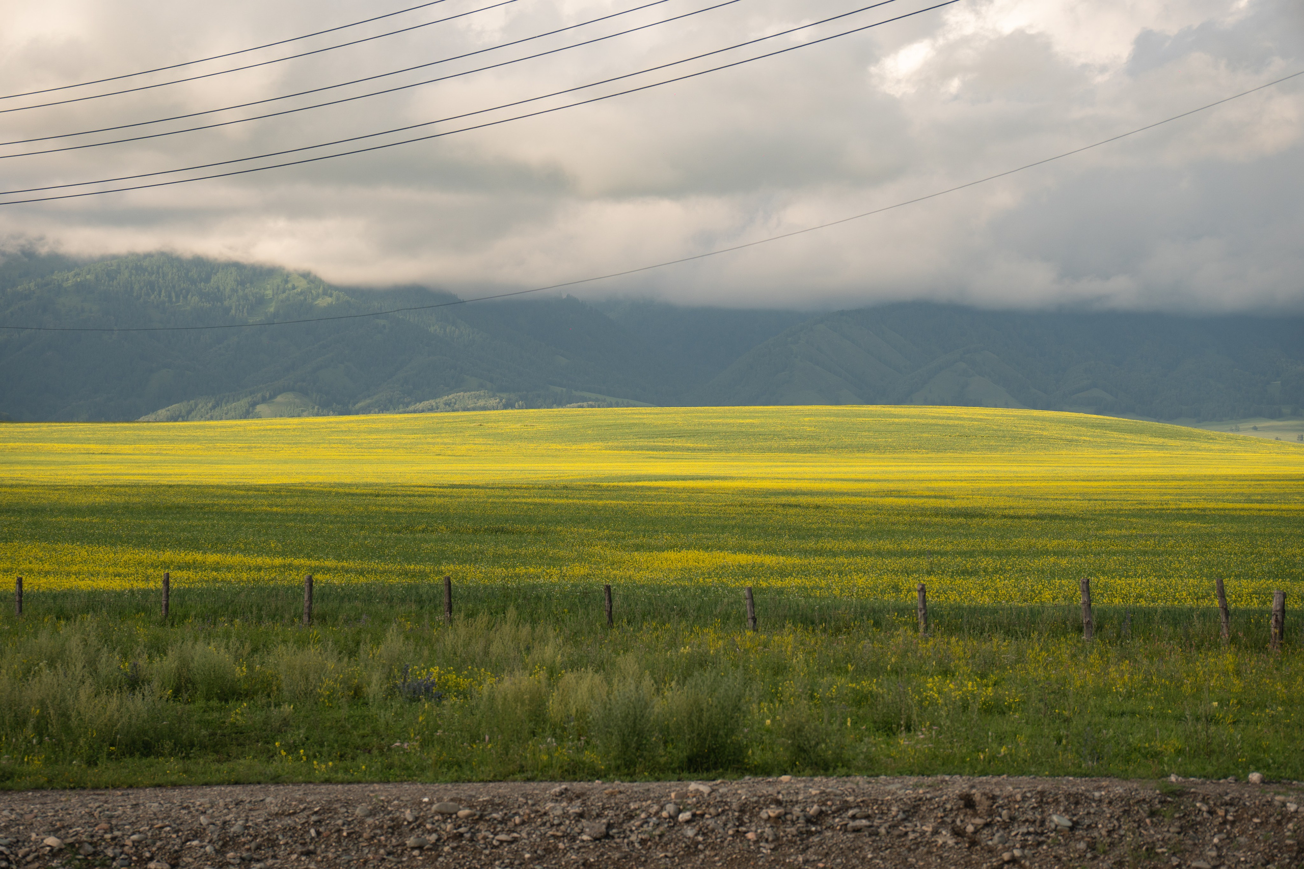 Алтай. Gusarov Travel Photography