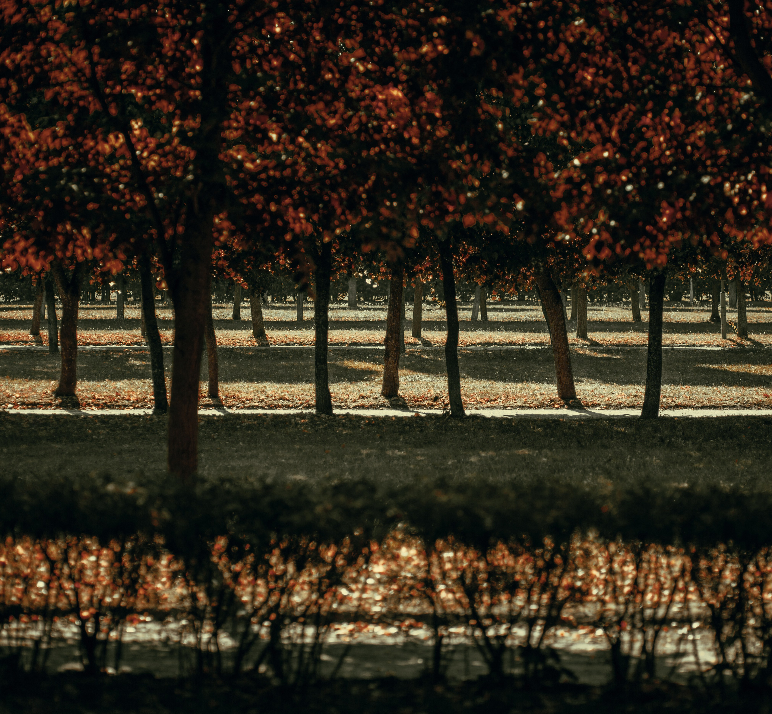 Арт-фото. Михаил Данилов | Фотограф