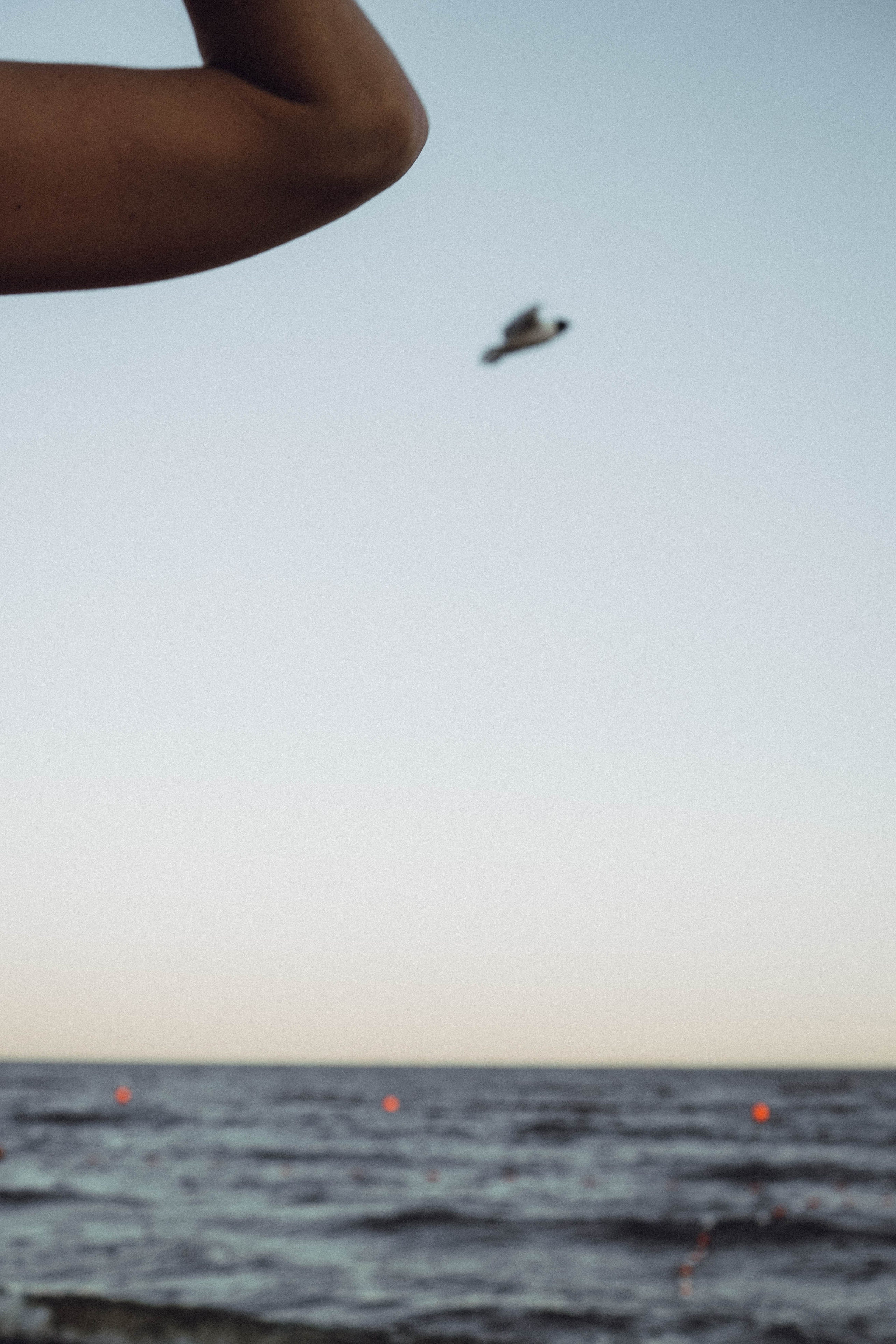 Любовь на заливе. Профессиональный фотограф, Санкт-Петербург — Виктория Богомолова