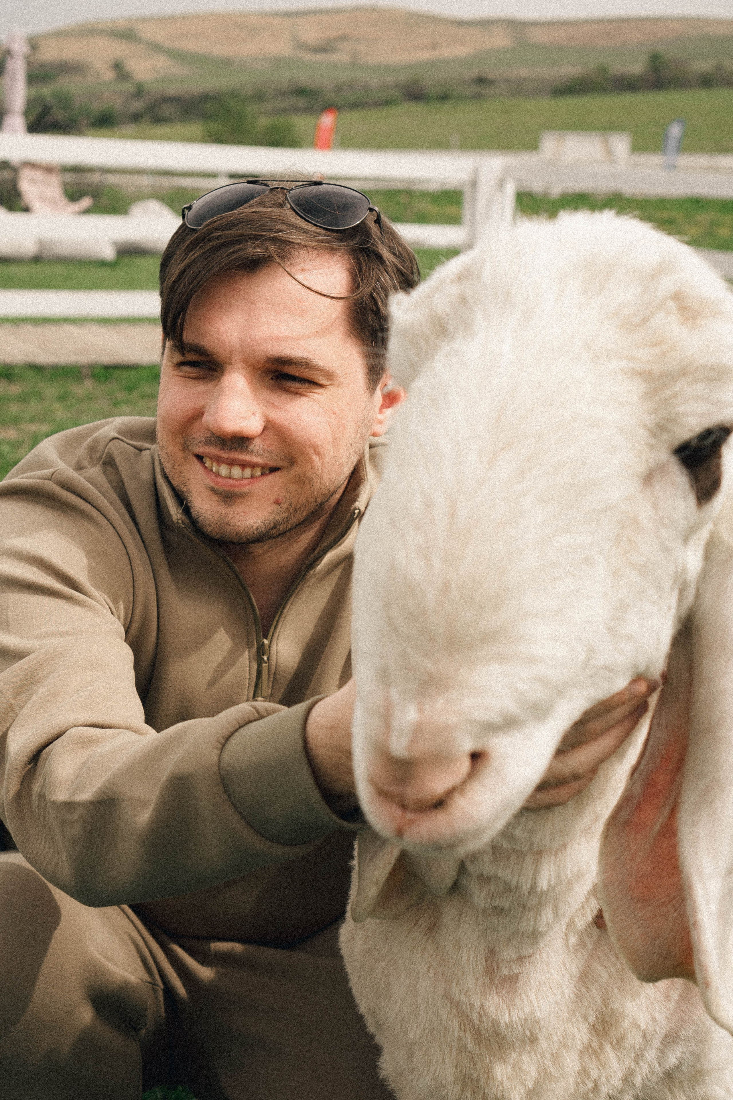 Ферма Альпак. Профессиональный фотограф, Санкт-Петербург — Виктория Богомолова