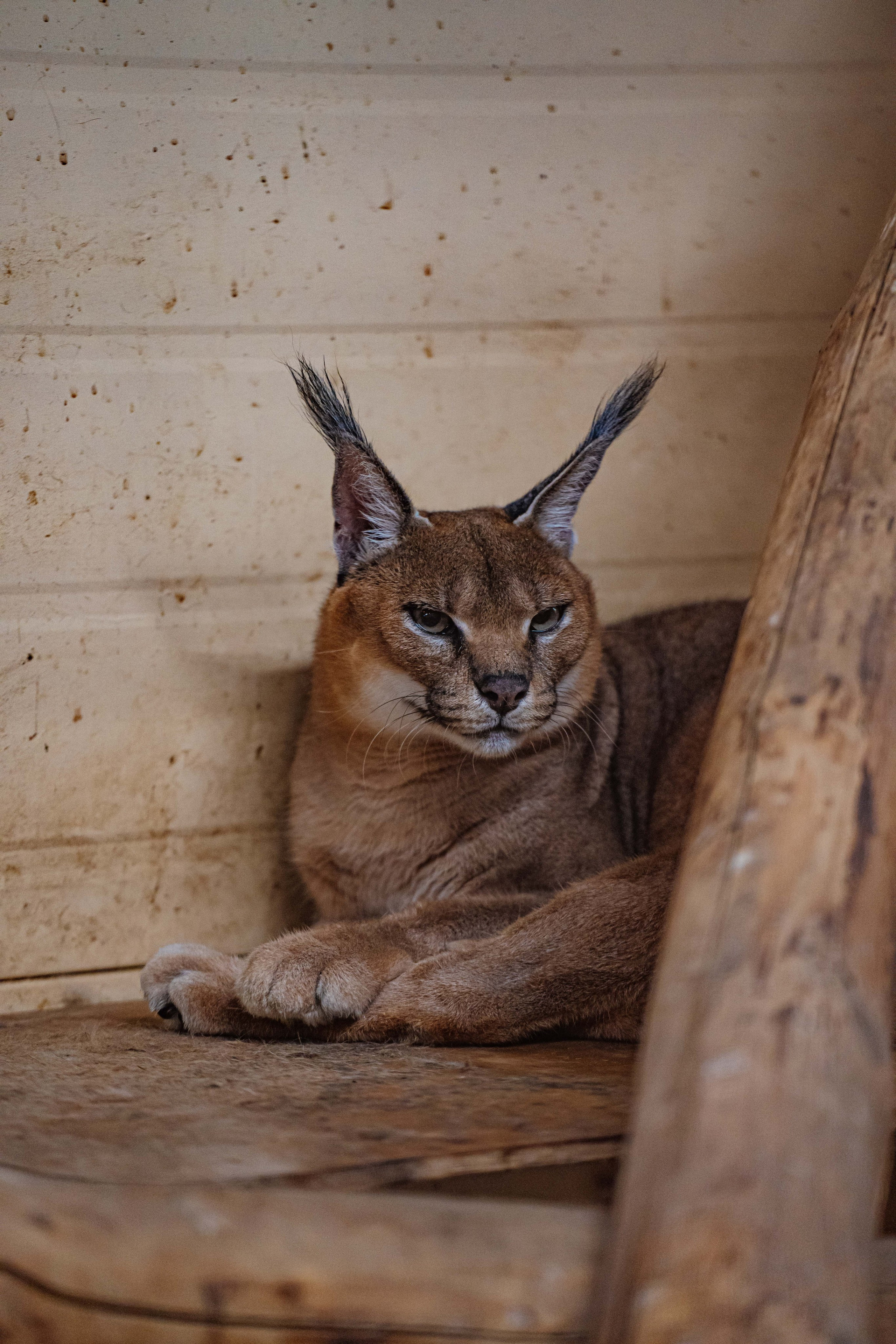СЕВЕР. Event фотограф Степанова Александра