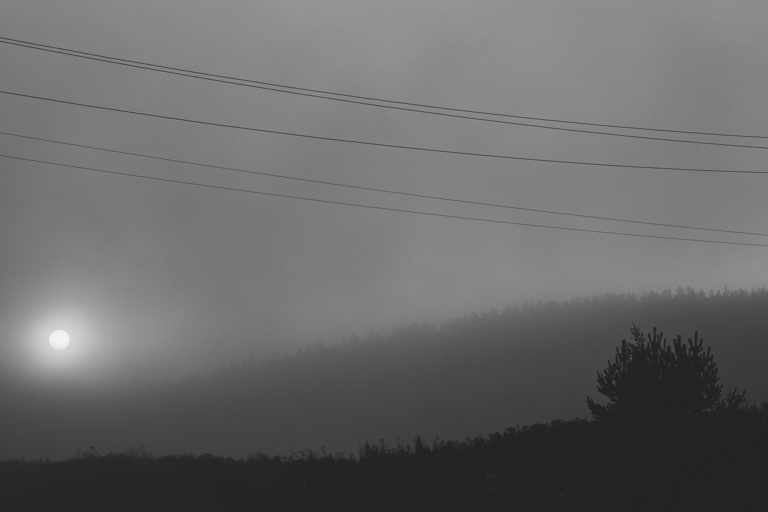 Снимки. Репортажный фотограф. Из России с любовью