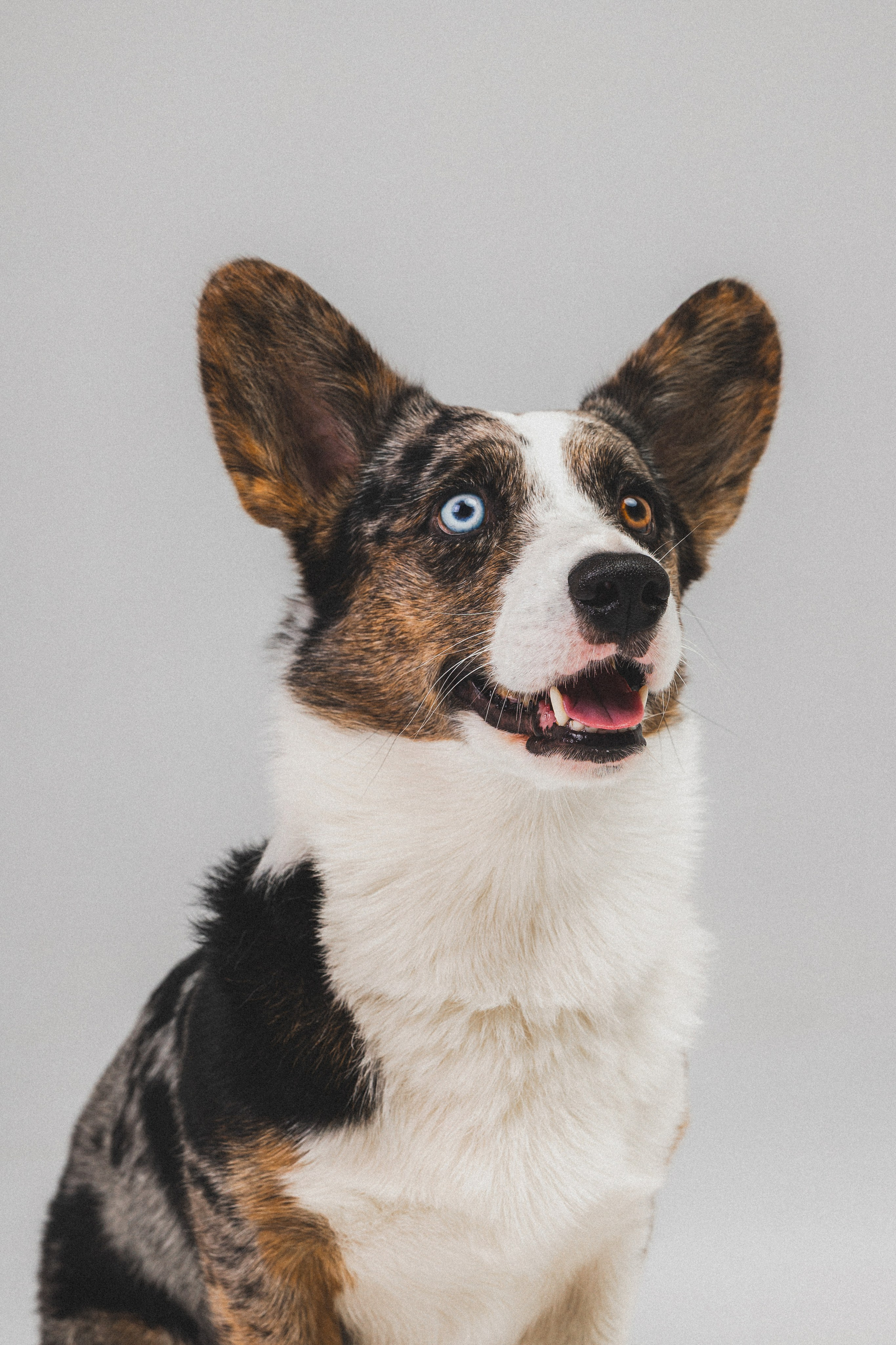 Анатолий и Рагнар