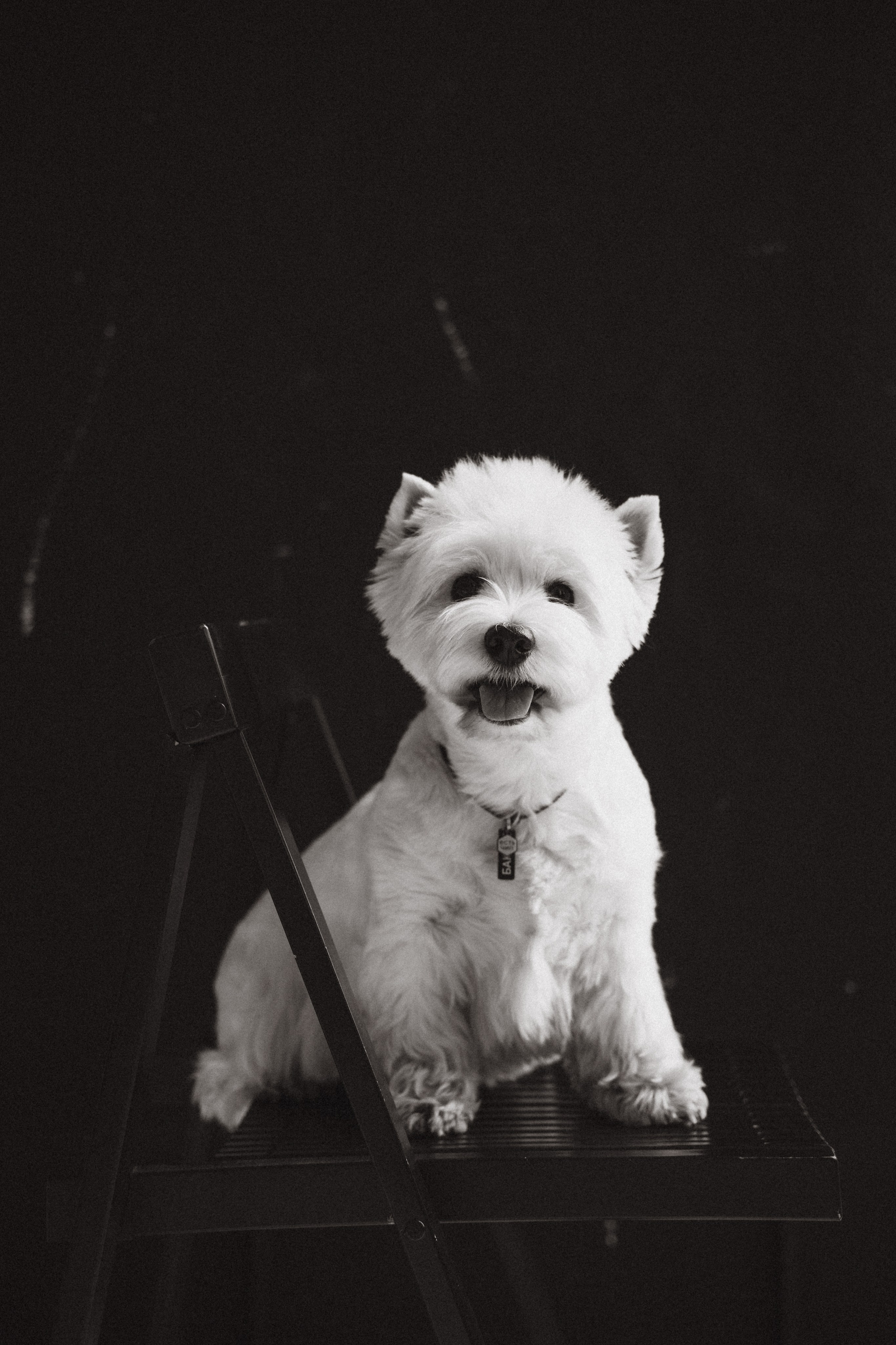 Вера и Бакс