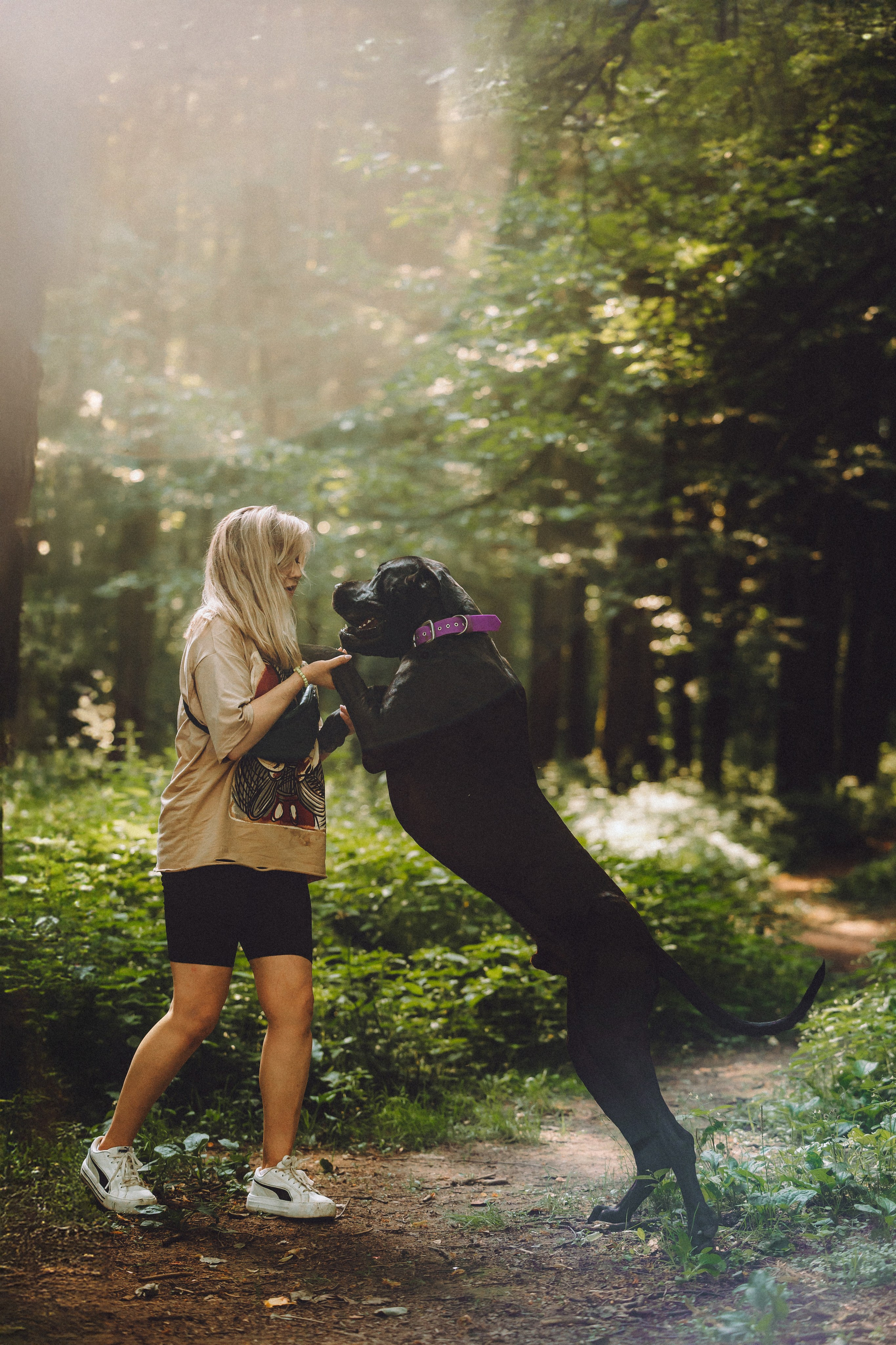 Катя, Андрей, Гектор, Ричи, Тортик и Трой