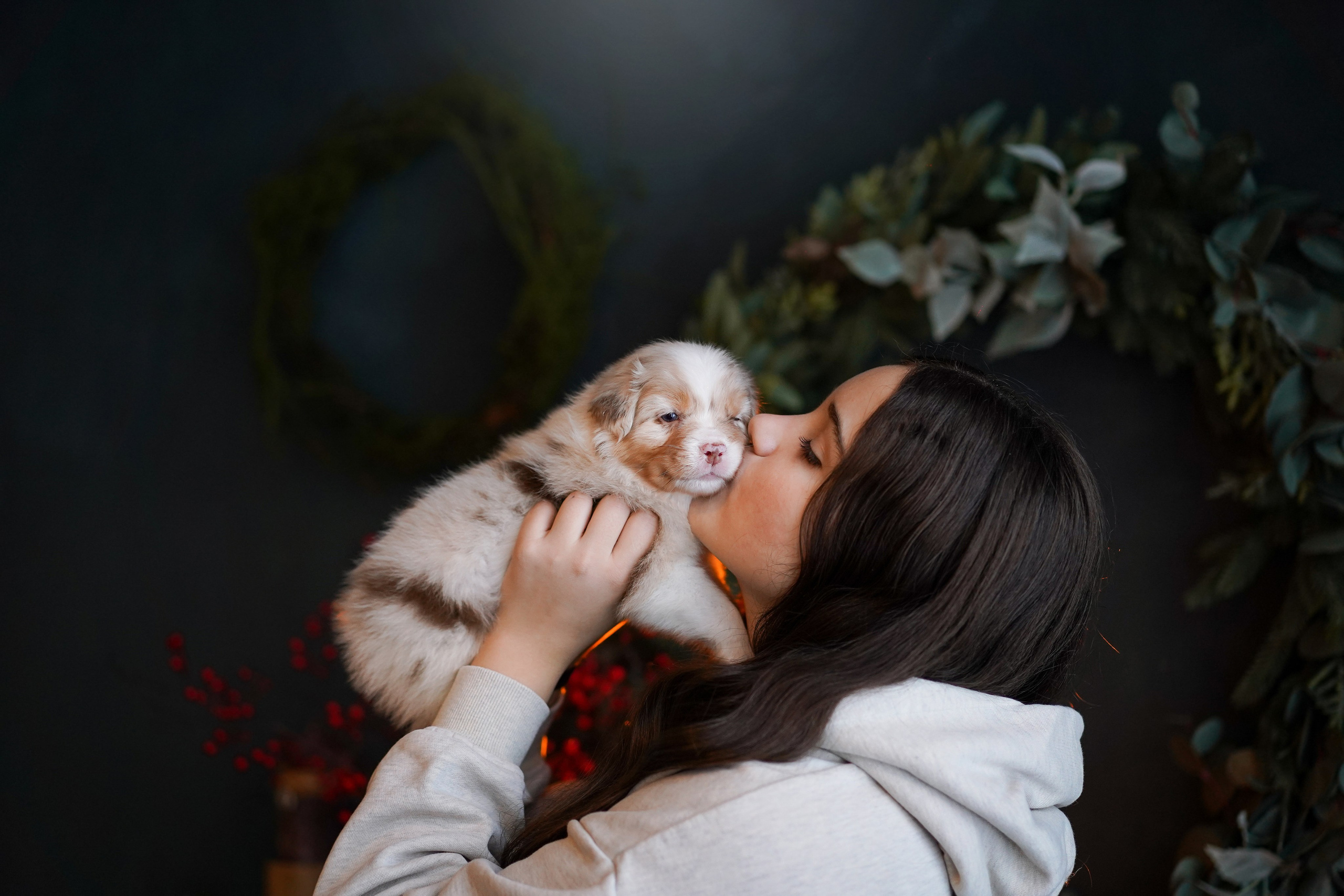 Щенки австралийской овчарки. Фотограф-анималист в Санкт-Петербурге Яна Мартынова