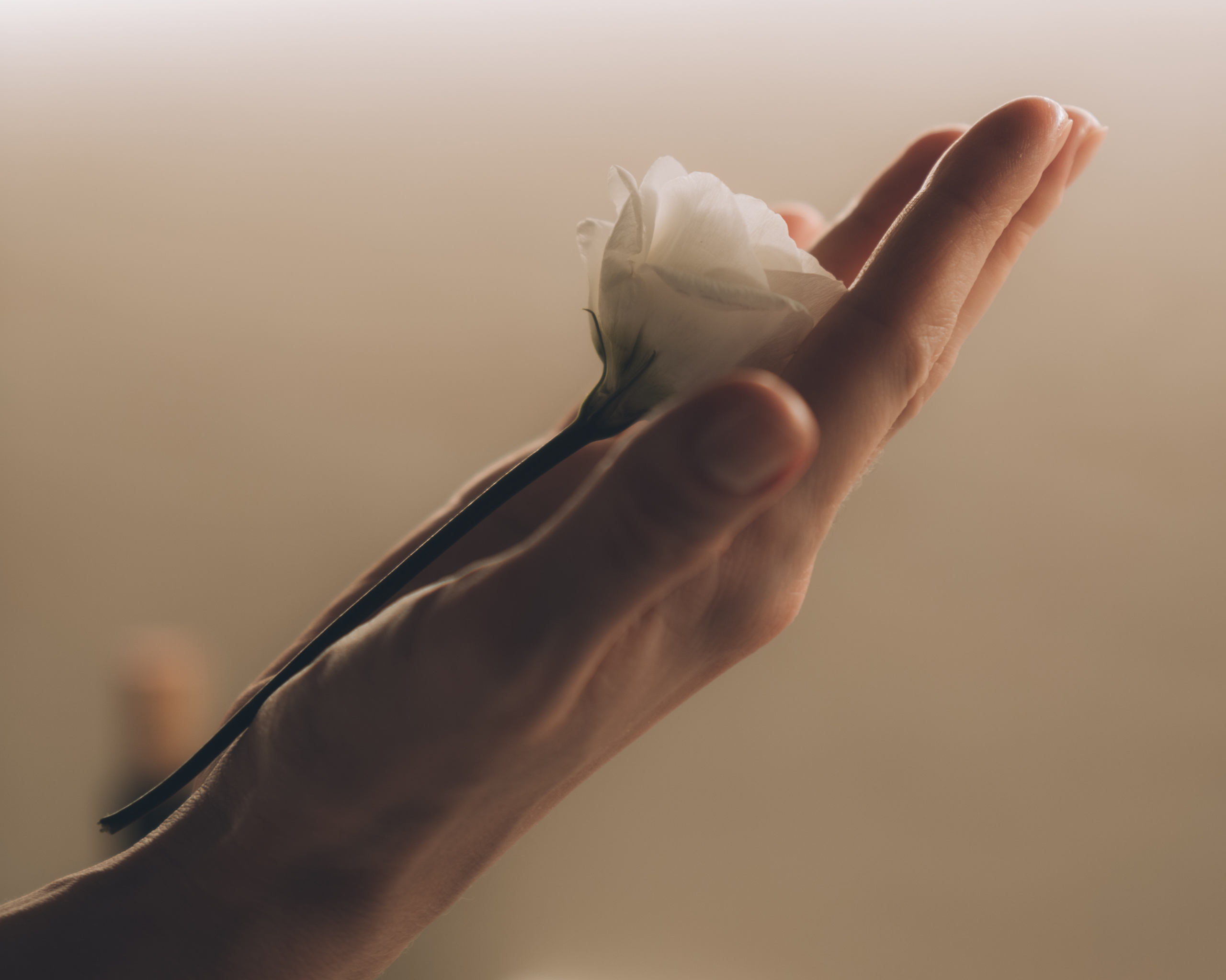 Аня. Сборы невесты. Ольга Гагуа. Портретный фотограф. Москва