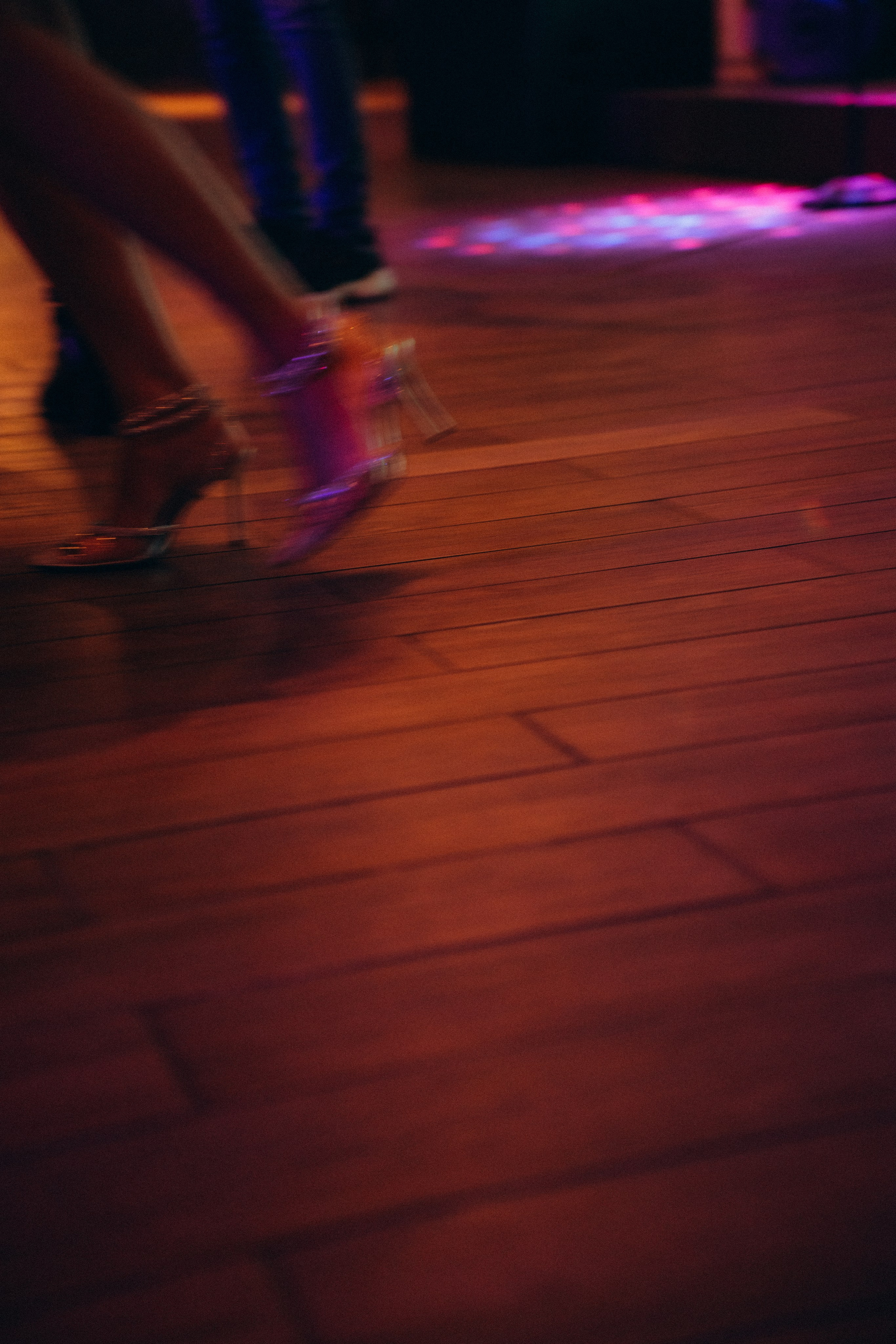 Roya. Фотограф Москва Селюкова Юлия