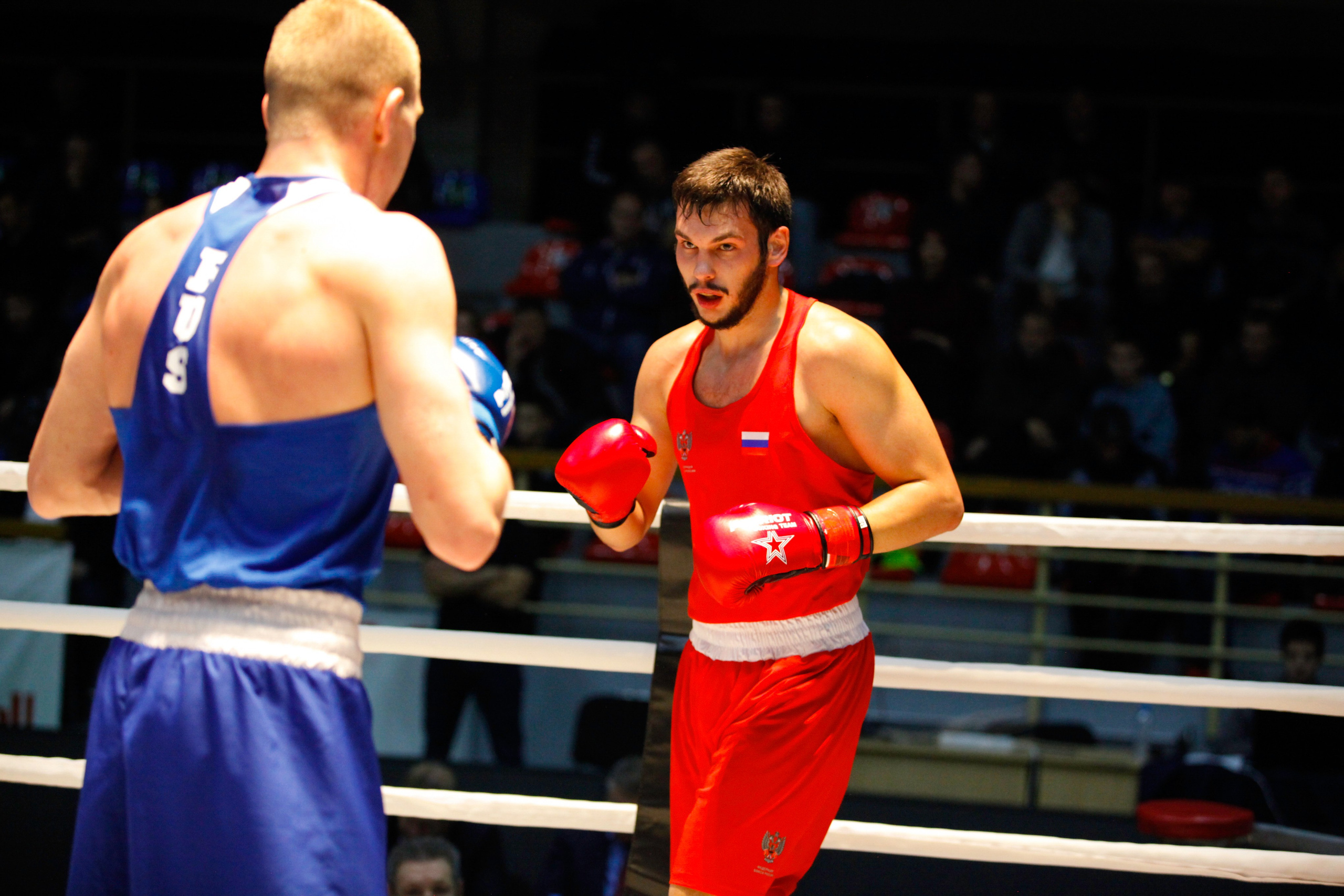 БОКС. Фото. Спортивный фотограф, трансляция, звук и свет в Новосибирске