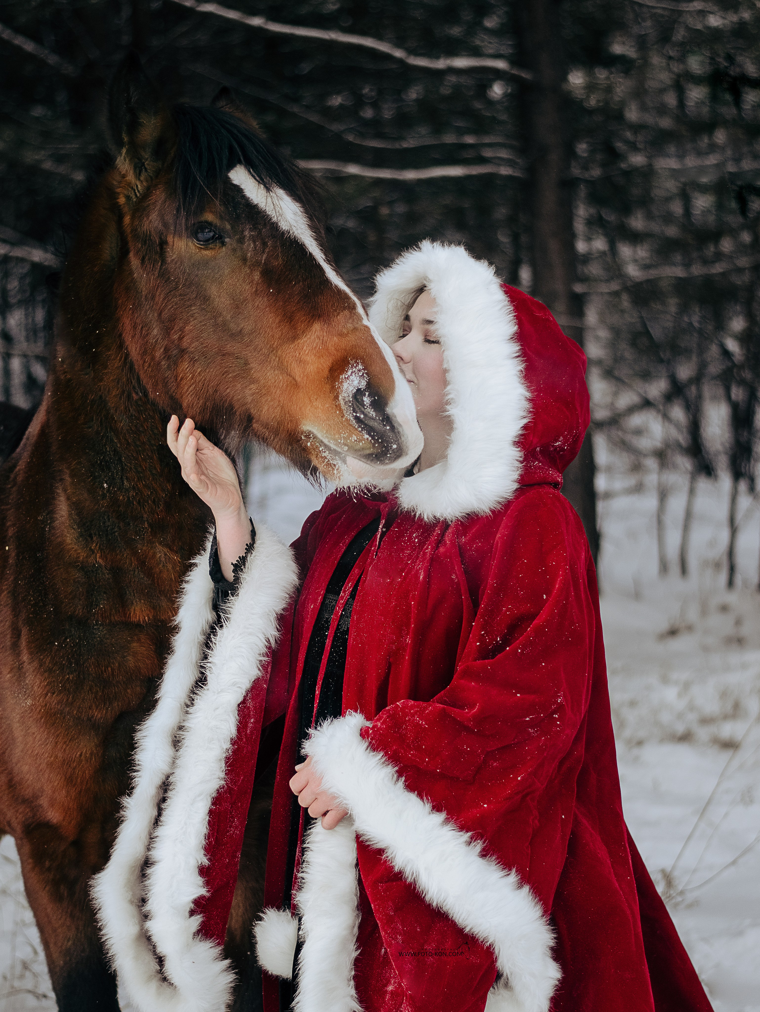 Съемка с лошадью Иркутск Иркутская область. Сайт фотографа Елены Коноваловой Иркутск