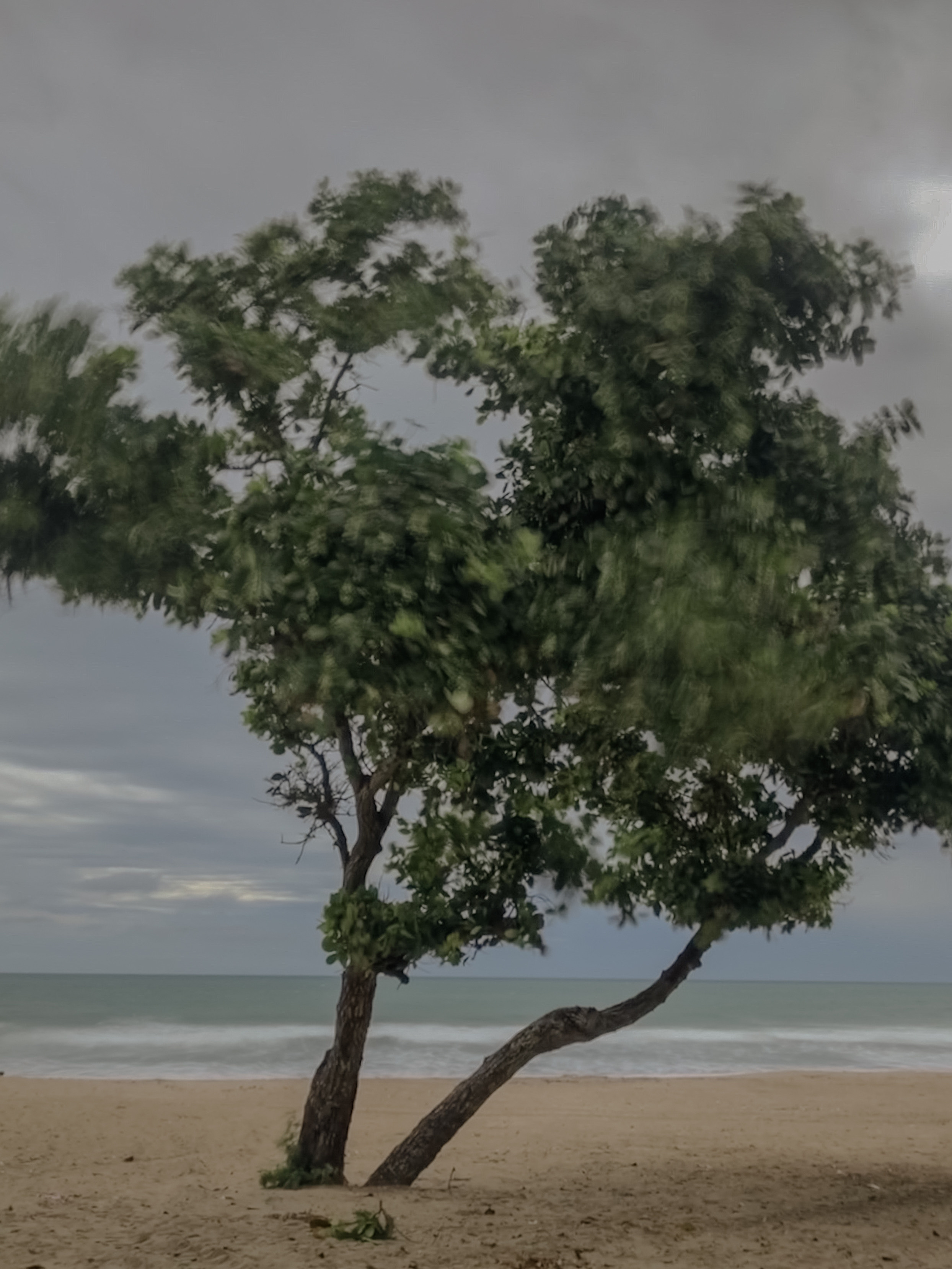 Фотограф в Москве Вероника Иньякова