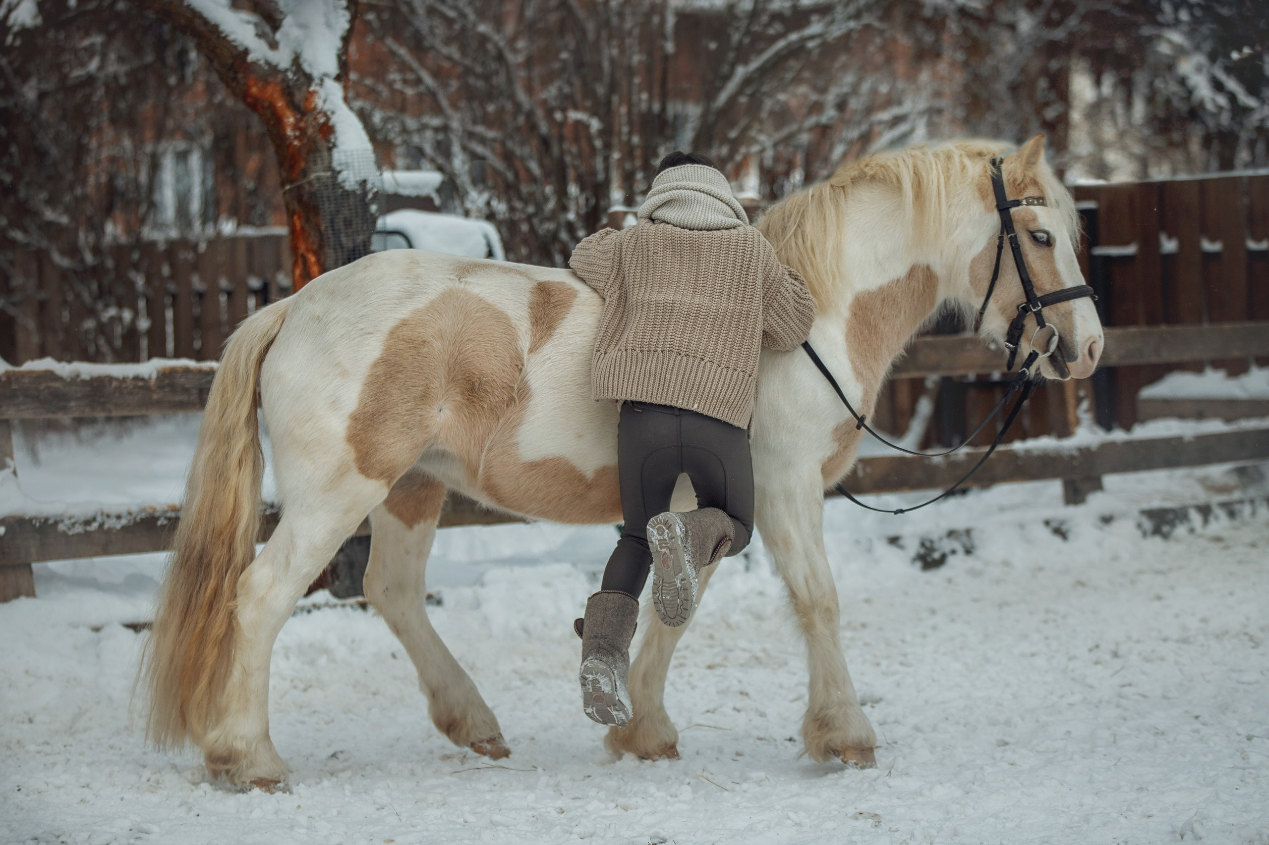 Детская конная съёмка. Детская Конная фотография в Москве Юлия Шепелева
