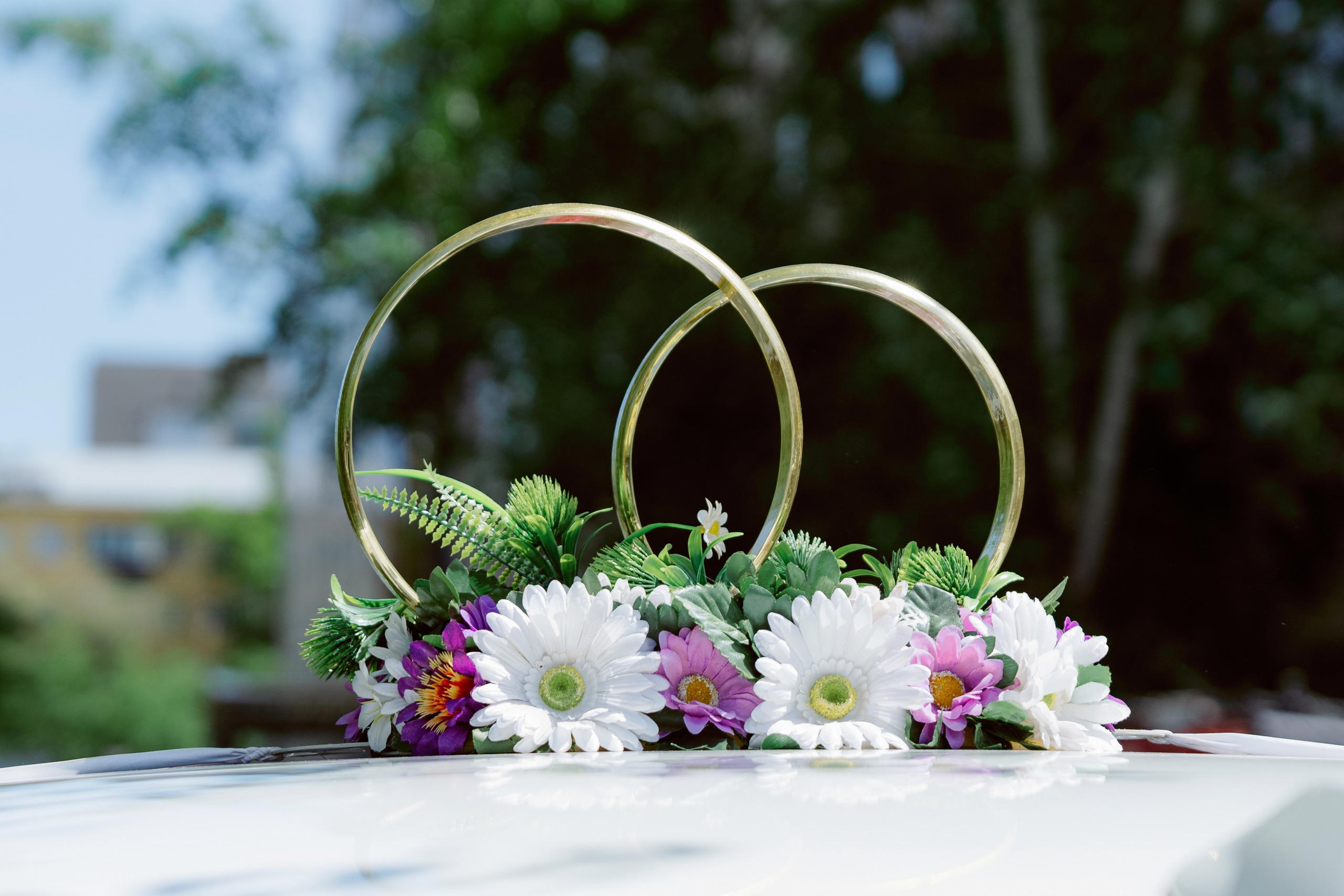 Данил и Анастасия