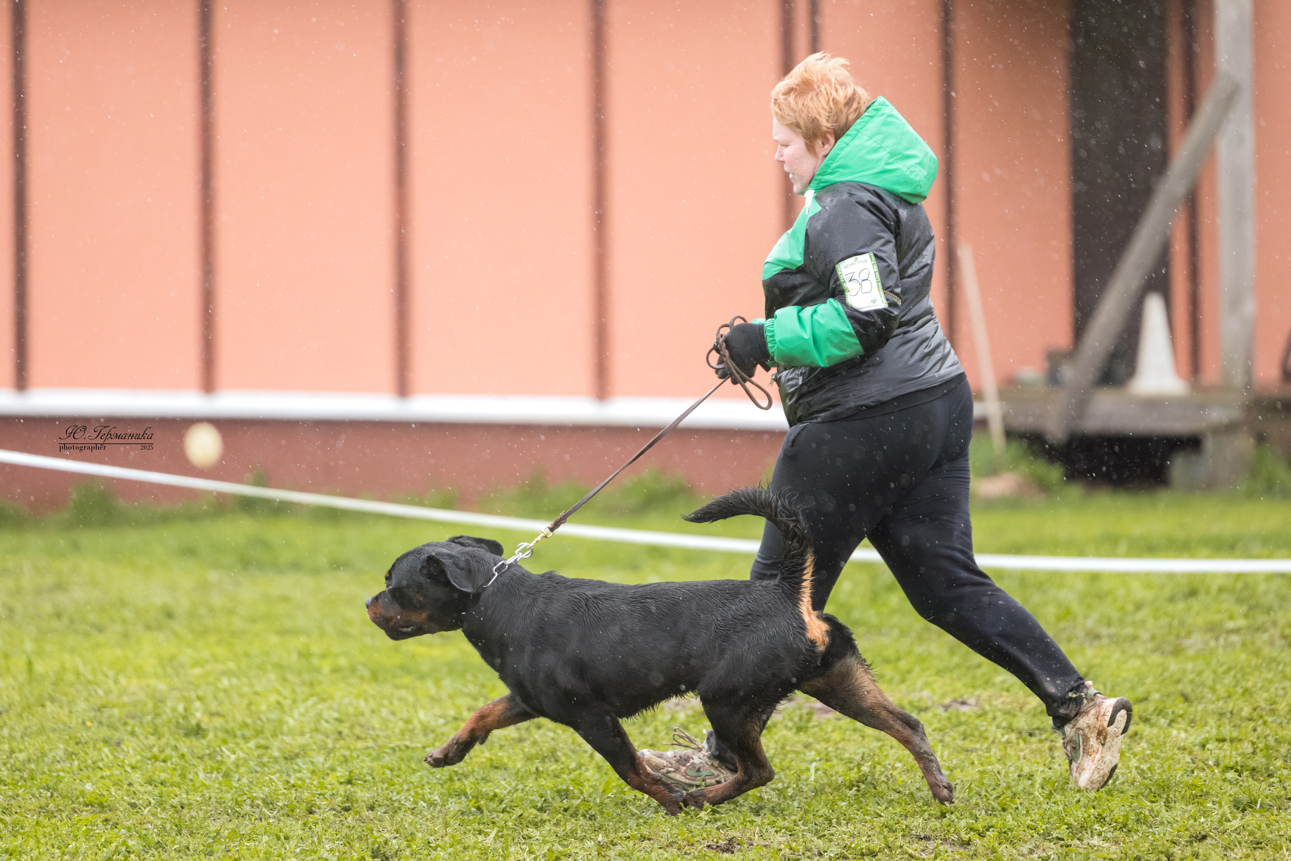 Нижний Новгород 2хмоно ротвейлеров 10-11.05.2025. Фотограф-анималист Юлия Германика