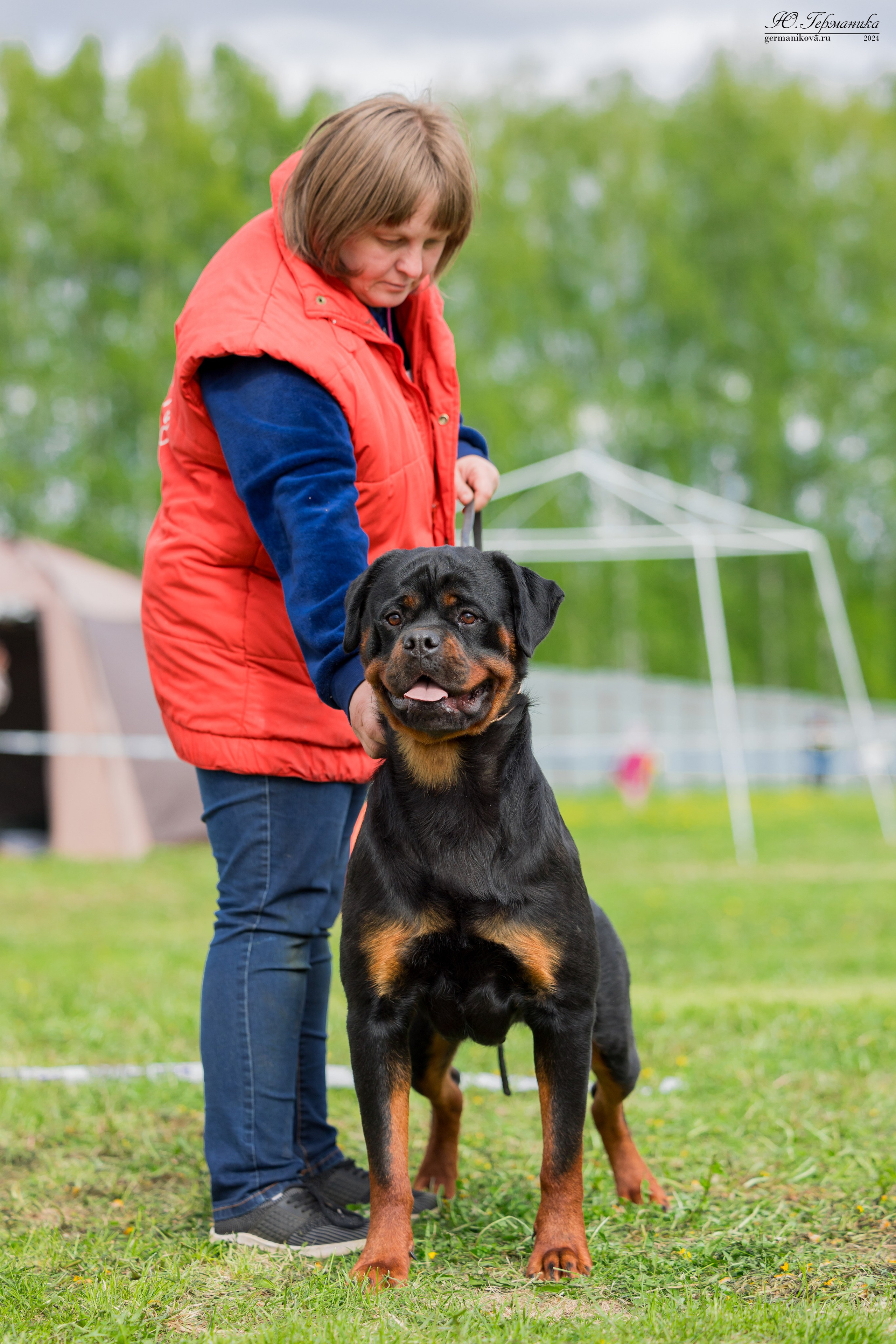 Нижний Новгород 11-12.05.2024 моно ротвейлеров. Фотограф-анималист Юлия Германика