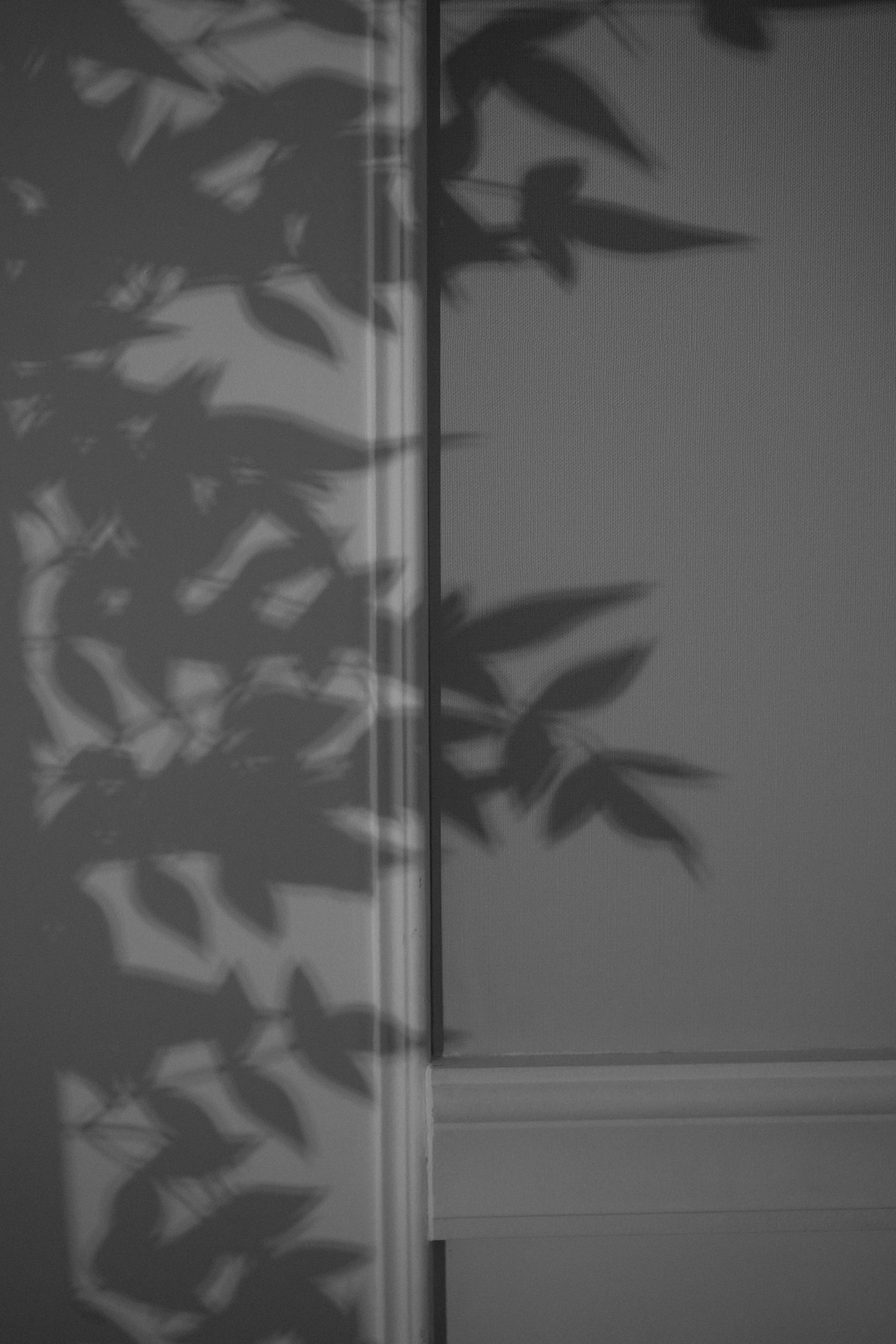 Большая свадьба.25.07.2024. Photographer_anastasia_margushina