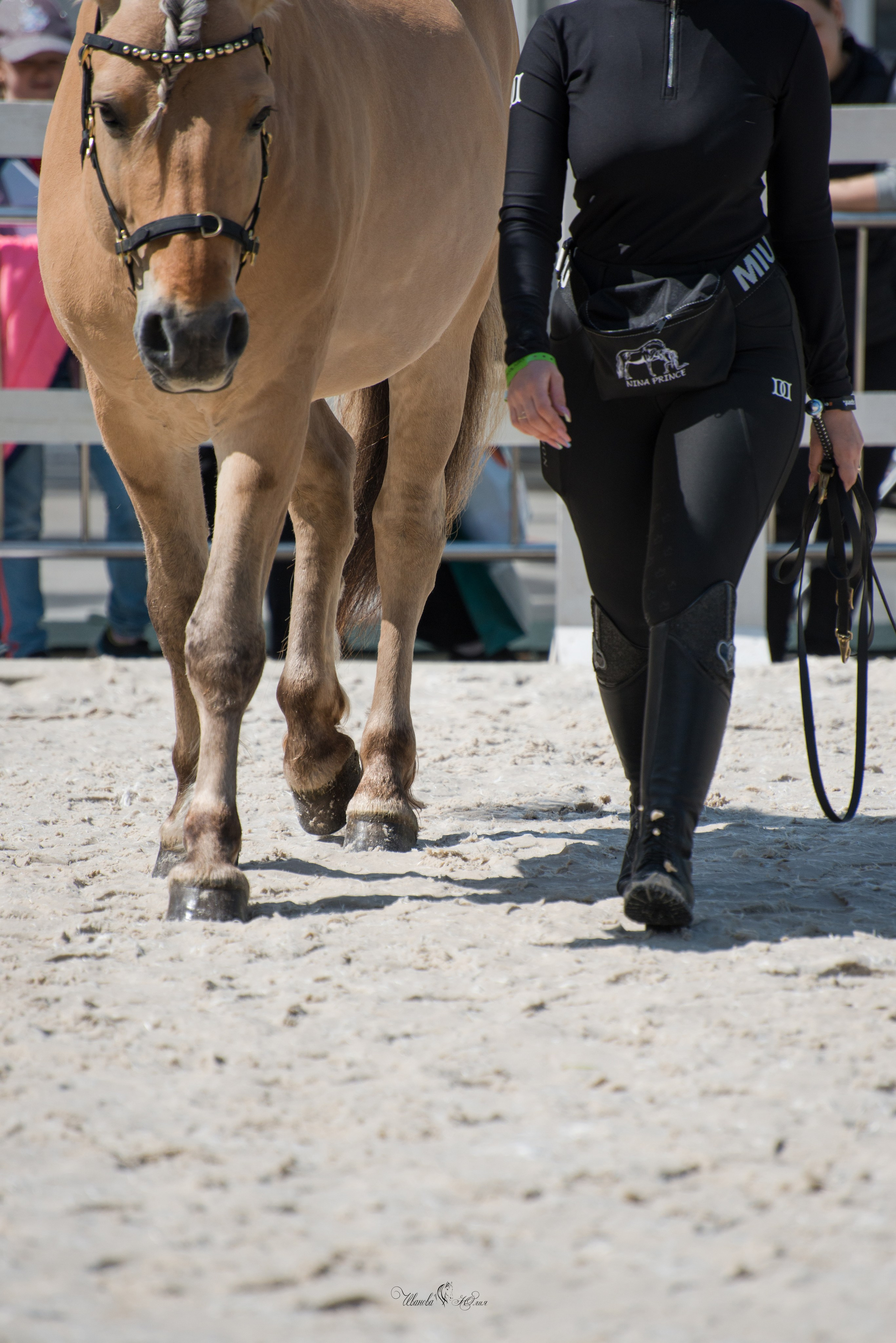 Эквирос, Москва. Конный фотограф в Саратове Юлия Иванова