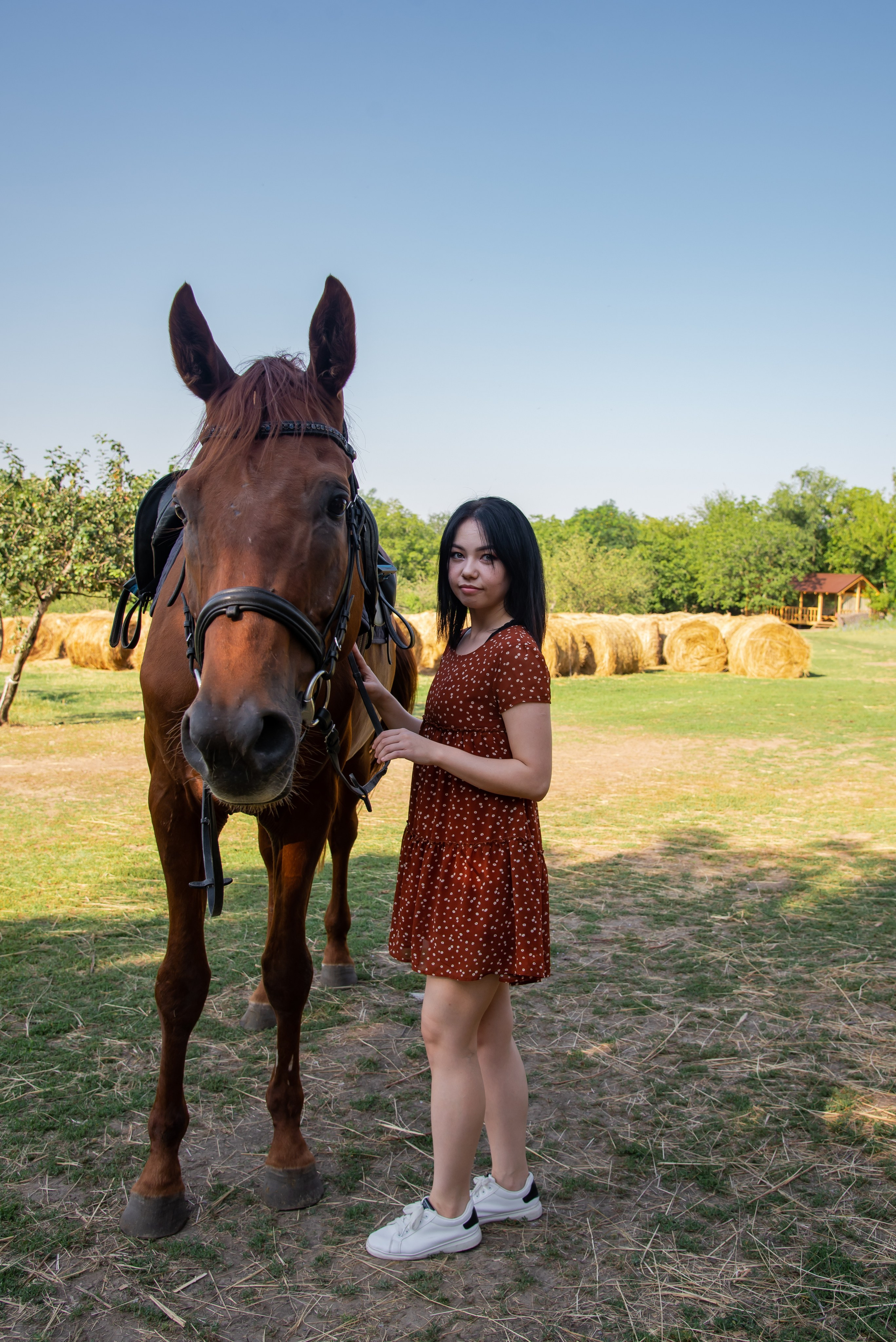 Конная прогулка. Фотограф Галина Нестерова