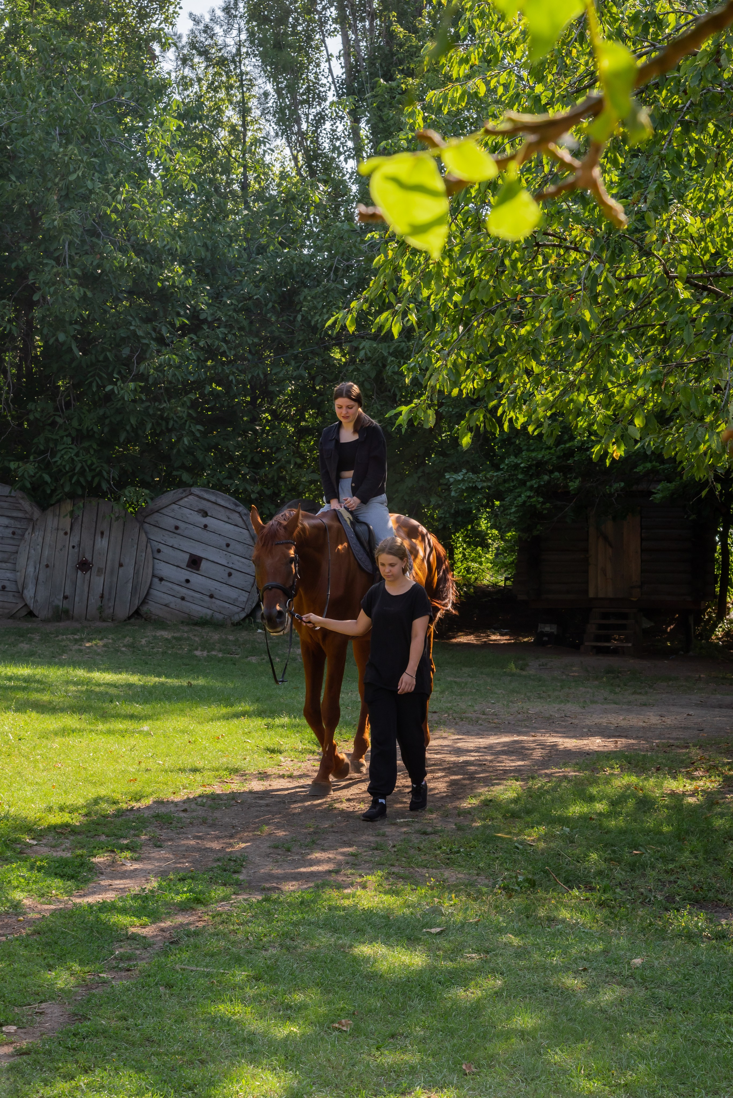 Конная прогулка. Фотограф Галина Нестерова