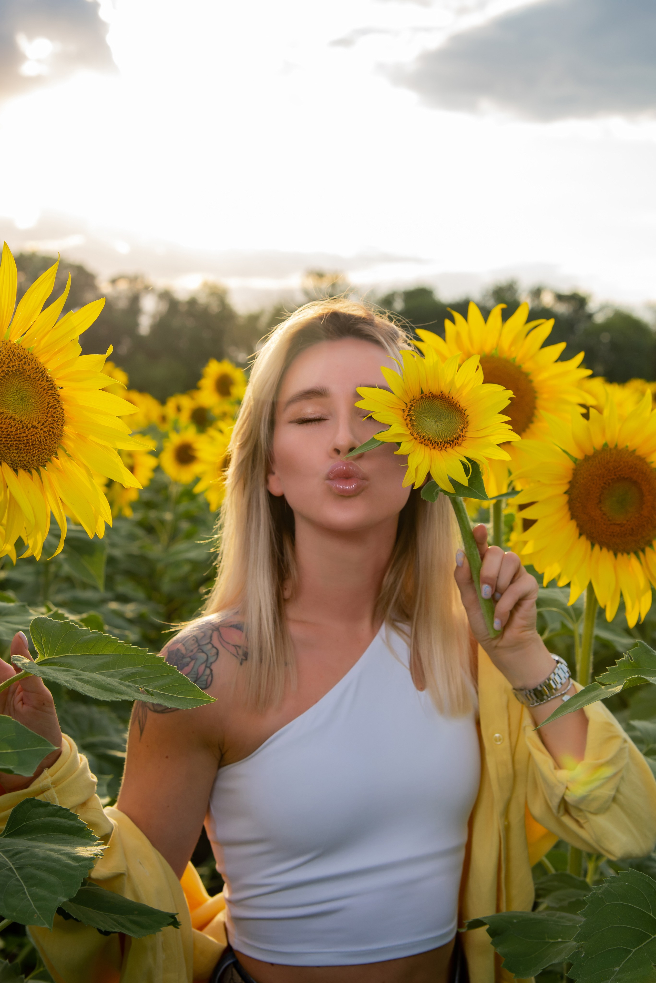 Подсолнух. Фотограф Галина Нестерова