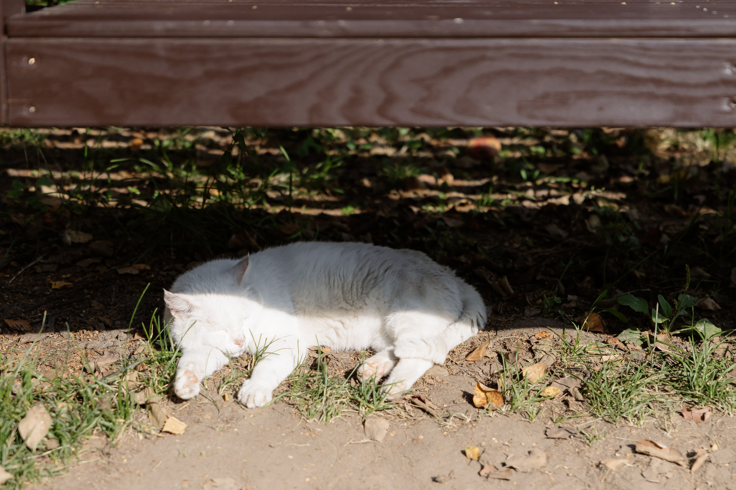 15.08.2024. RETOUCH-HOUSE