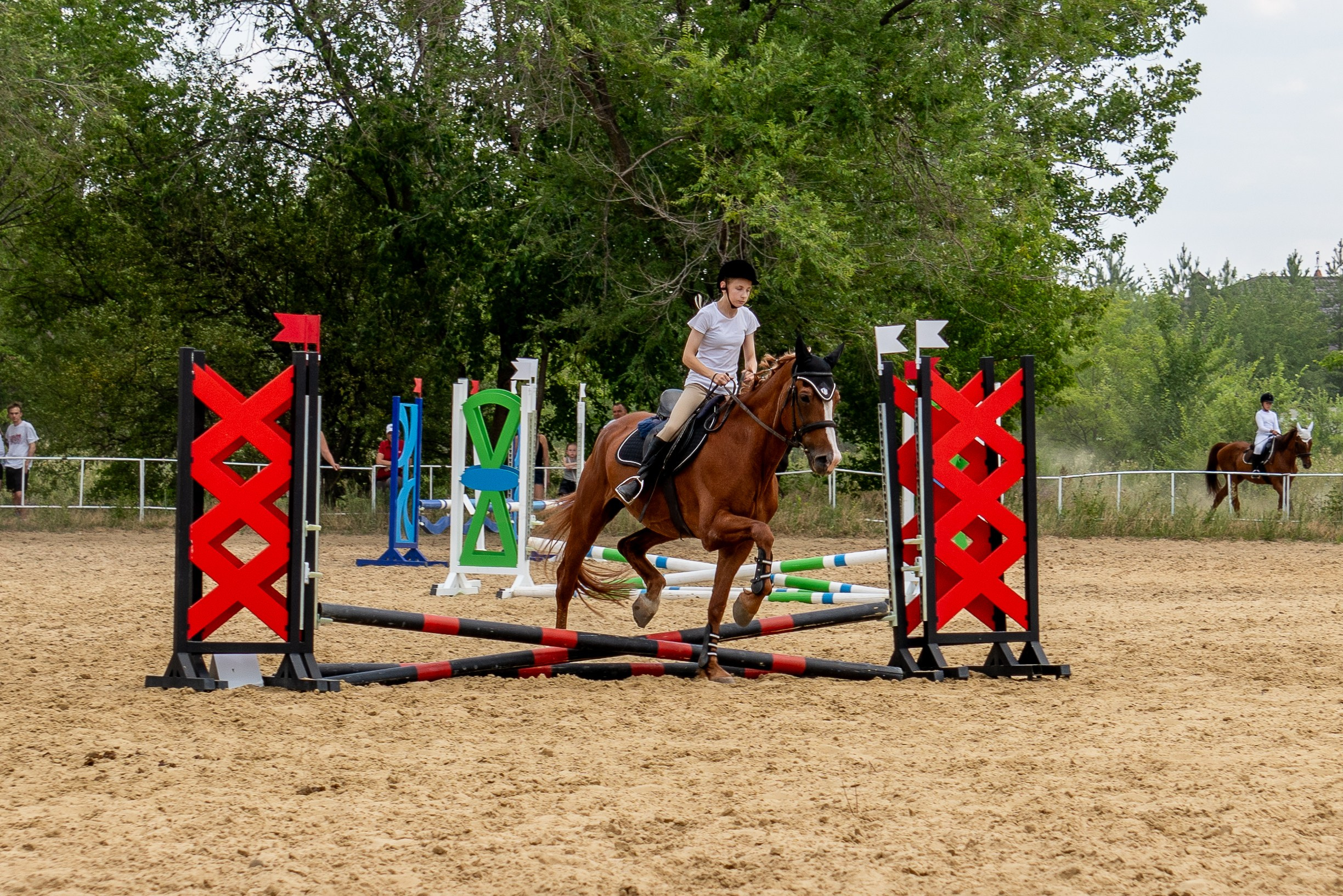 Соревнования по конкуру, Луганск. Фотограф в РФ и ЛНР Юлия Федосеева