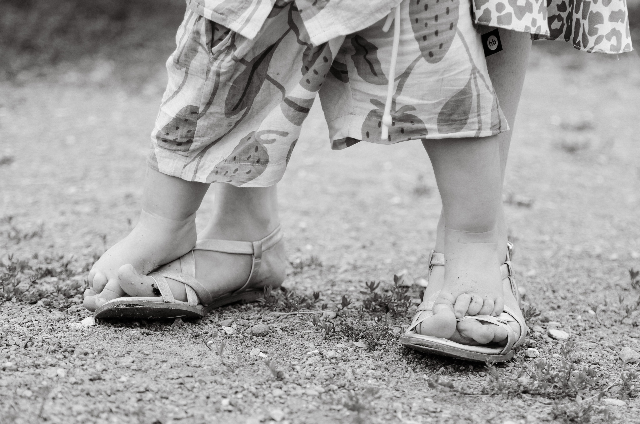 Семейная фотосессия. Фотограф текстиля в Москве Ольга Иванова
