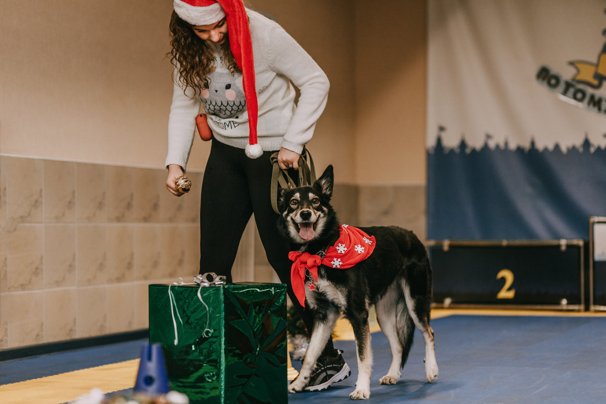 Собачий Новый год. Фотограф-анималист Елена Радченко, Москва