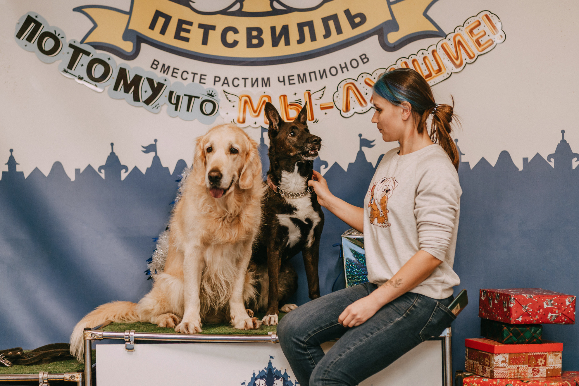 Собачий Новый год. Фотограф-анималист Елена Радченко, Москва