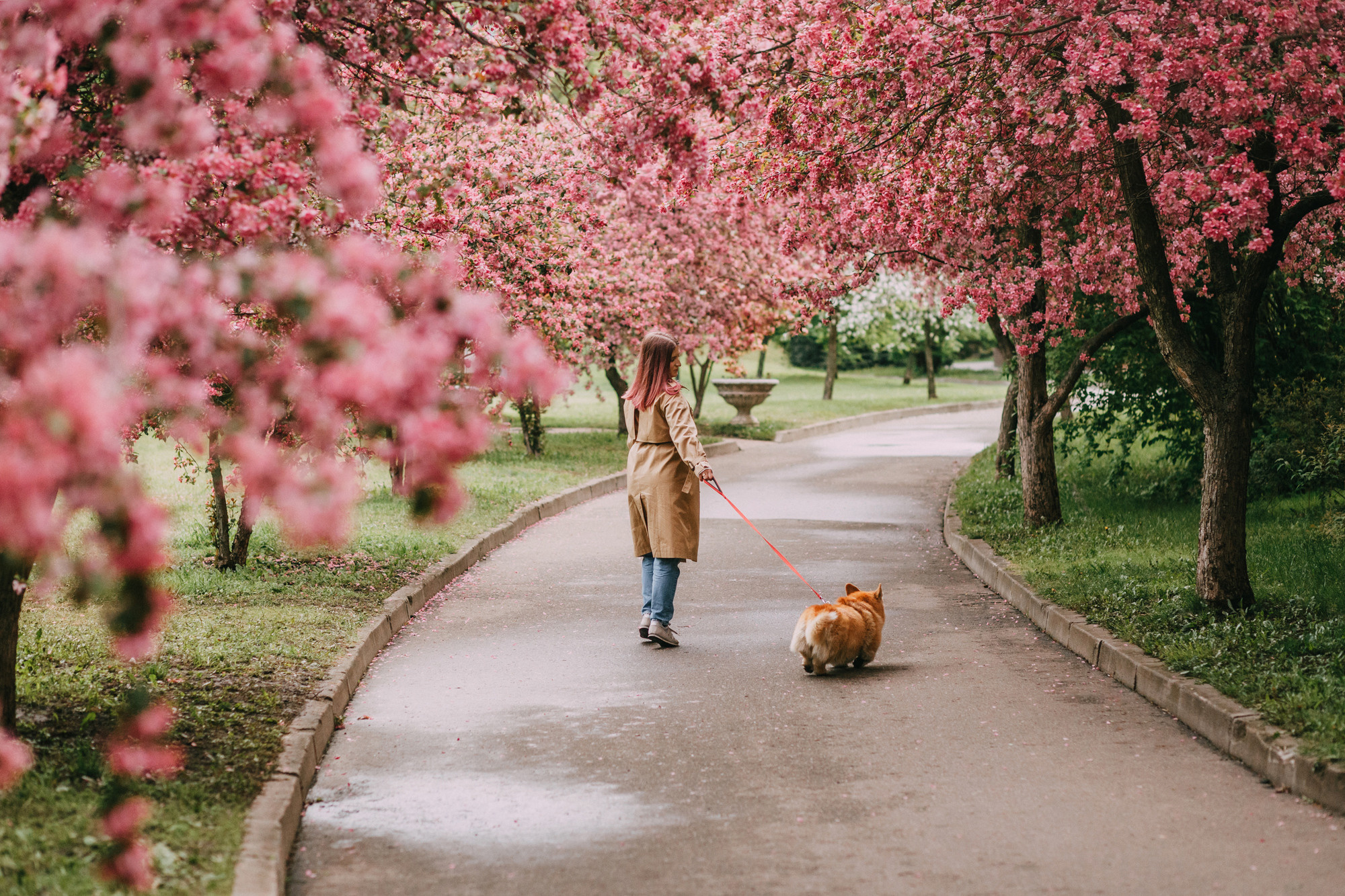 Анна и Филипп. Фотограф-анималист Елена Радченко, Москва